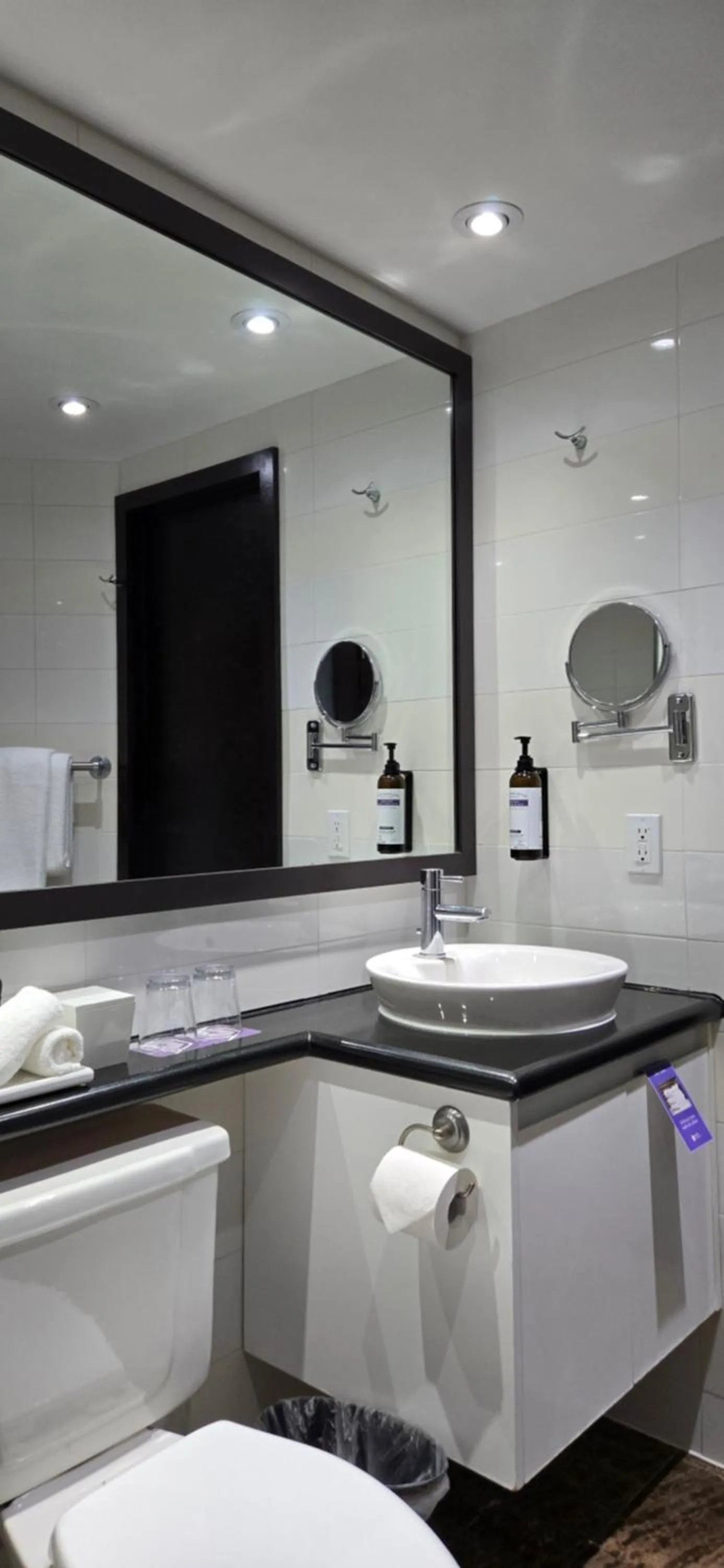Bathroom in Hyatt Regency Toronto