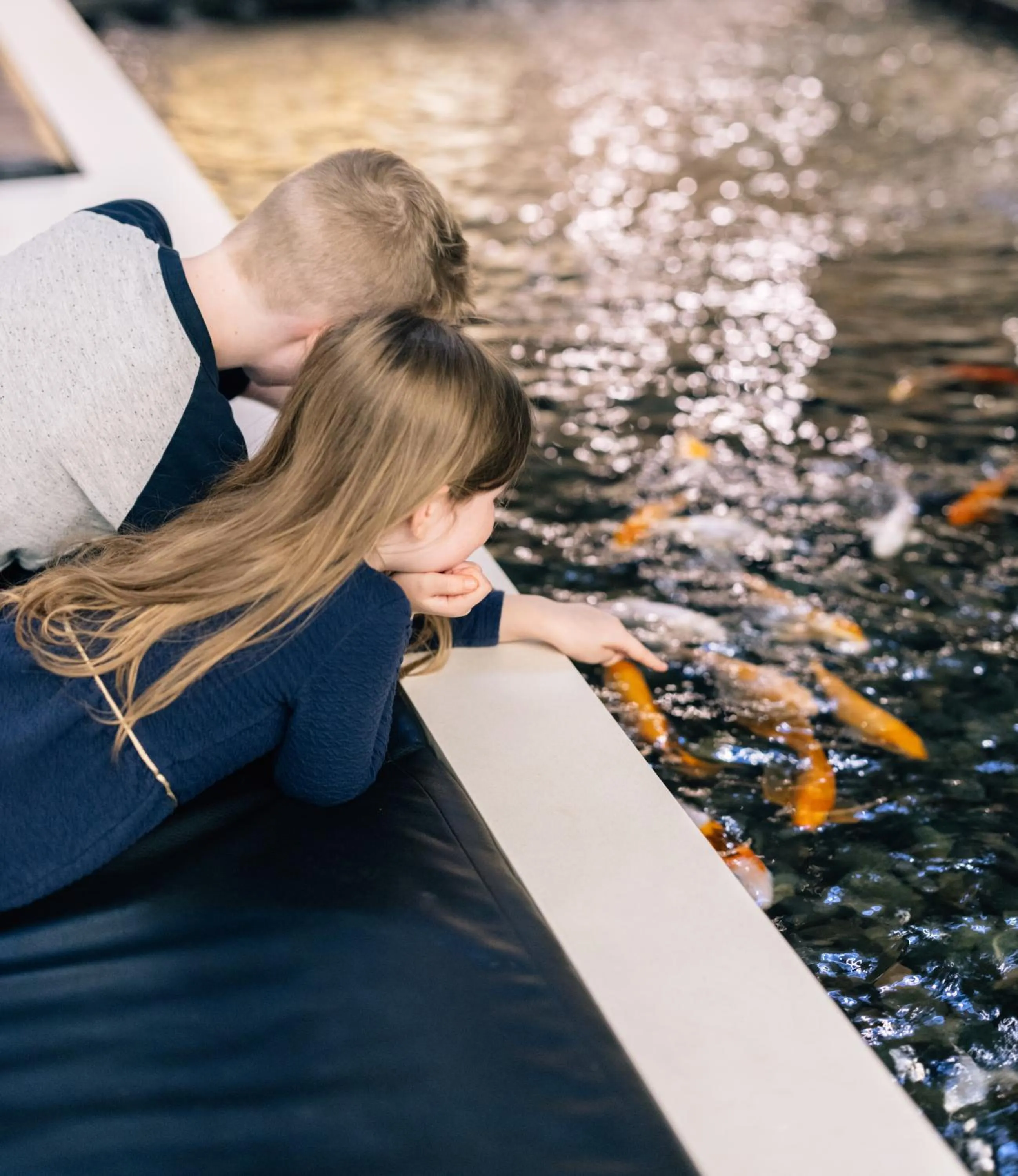 Activities in Hyatt Regency Toronto