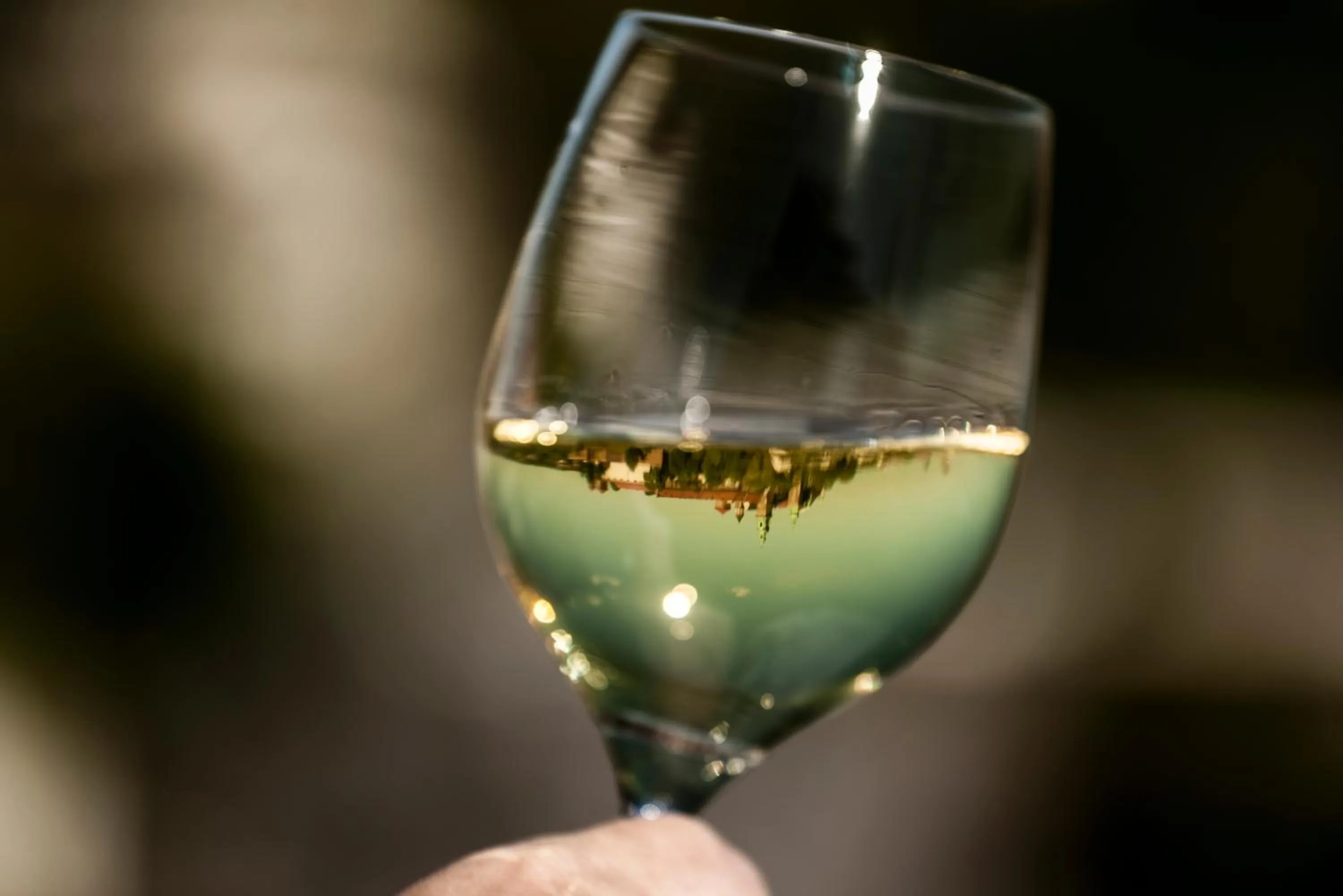 Alcoholic drinks in Hotel Kossak