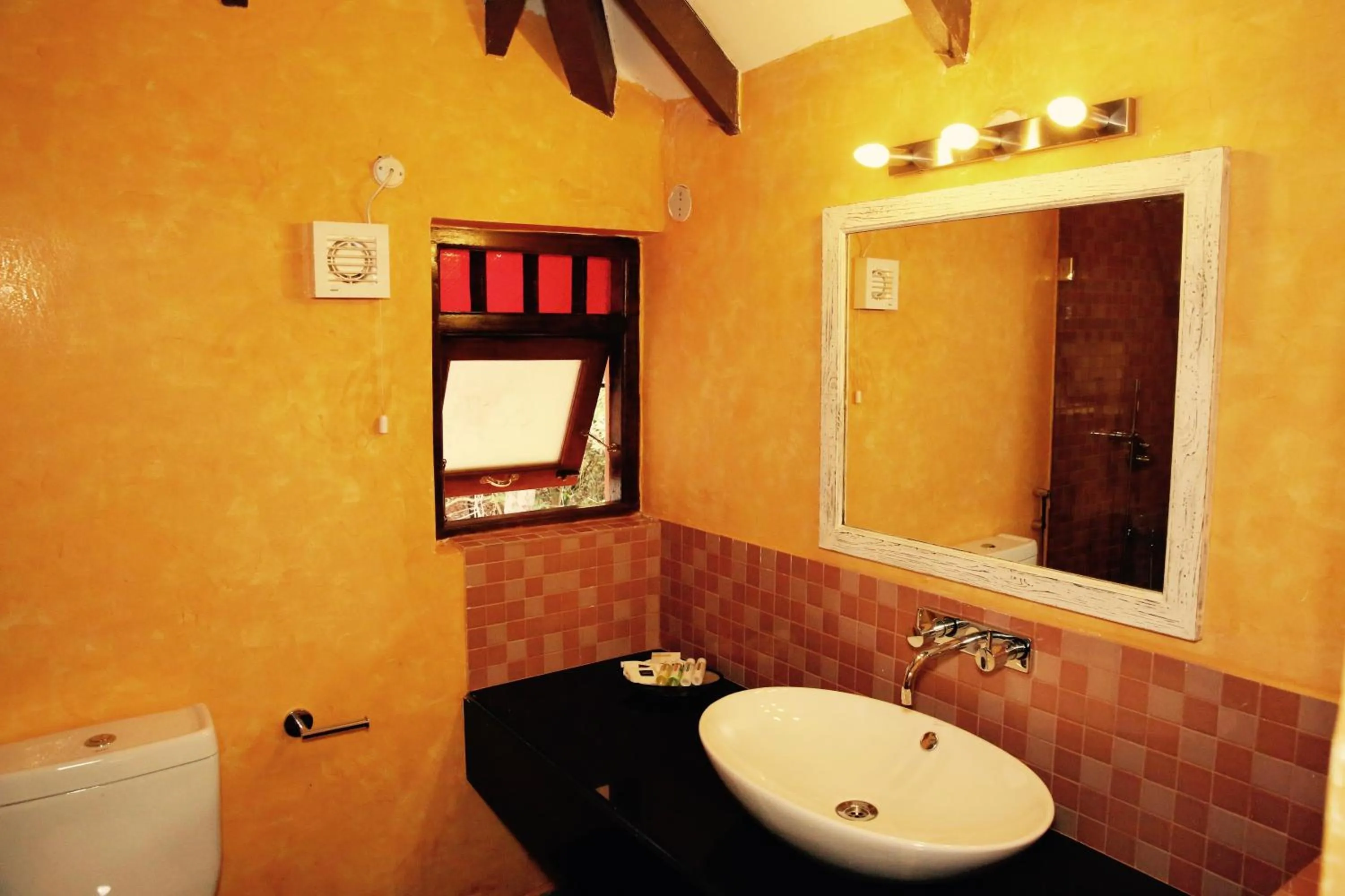 Bathroom in Lar Amorosa Boutique Hotel - Goa