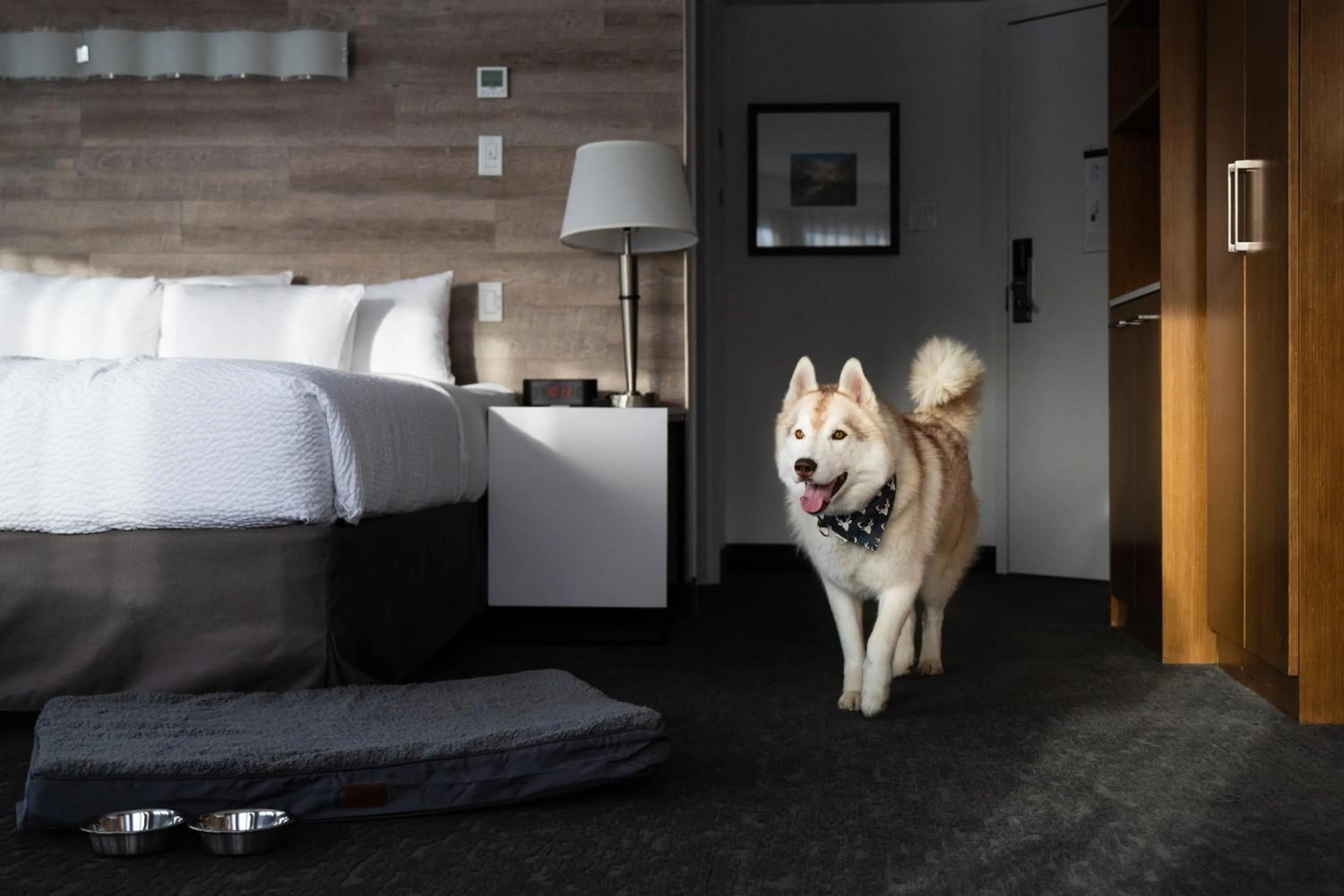 pet friendly, Bed in Elk + Avenue Hotel
