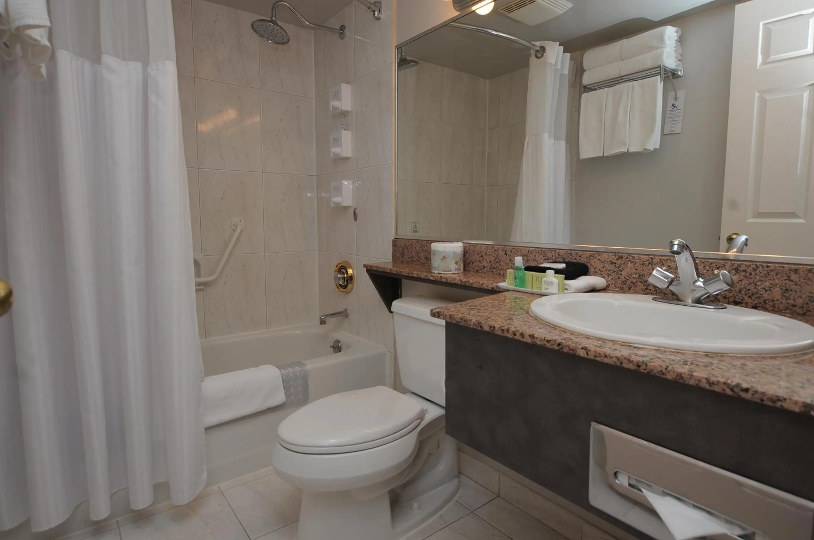 Toilet in Rosedale on Robson Suite Hotel