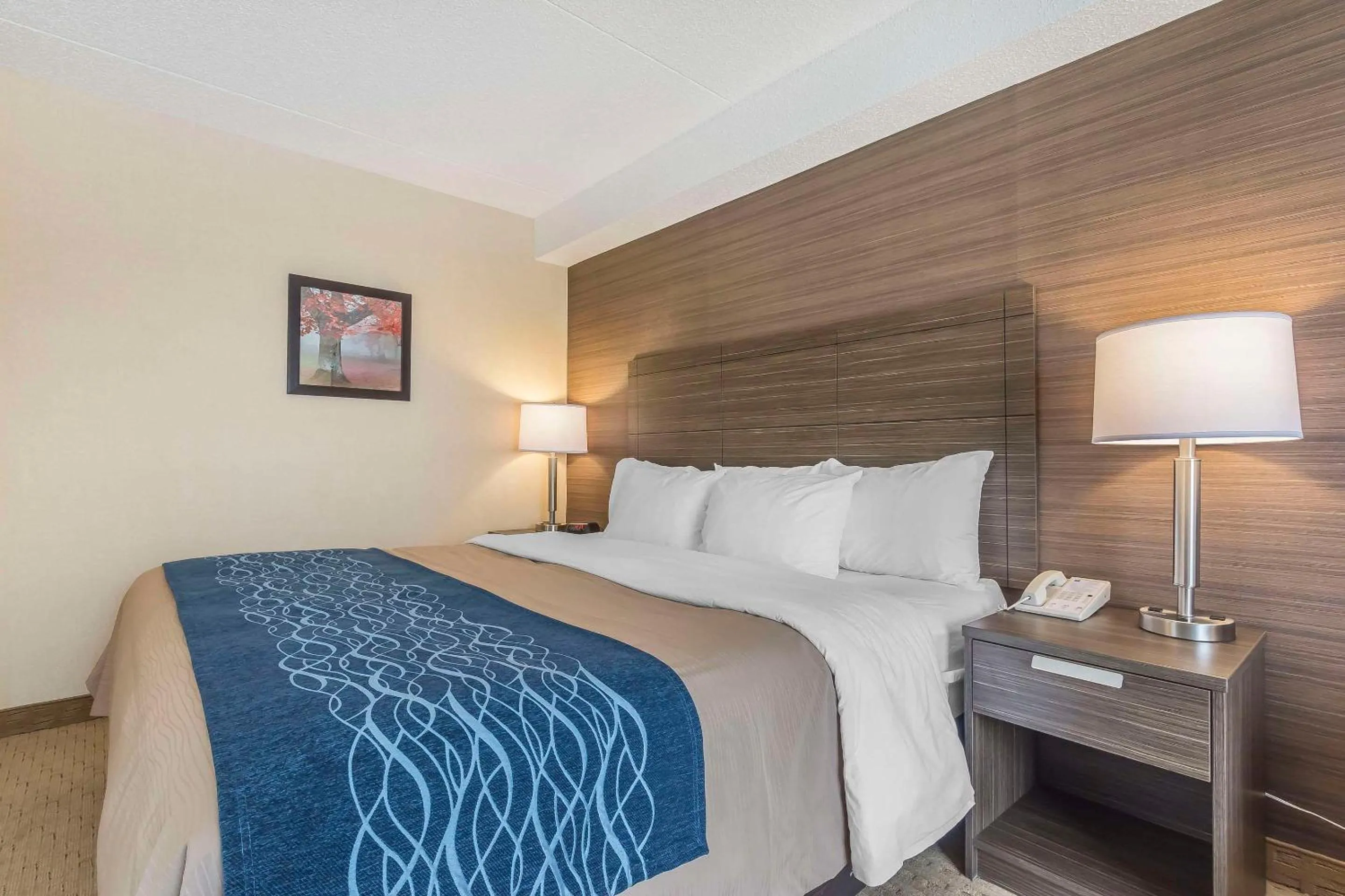 Bedroom, Bed in Comfort Inn