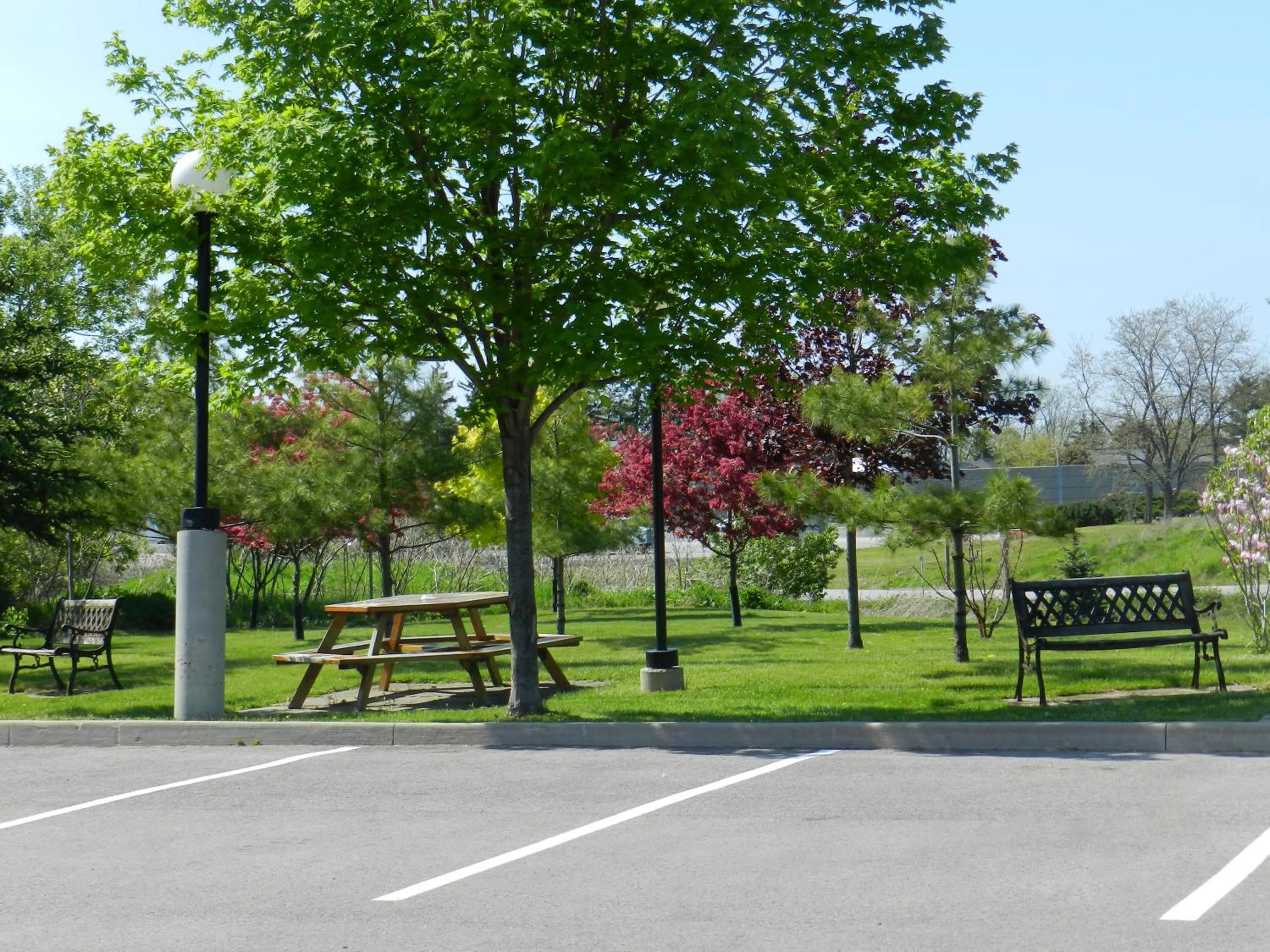 Area and facilities in Capri Inn