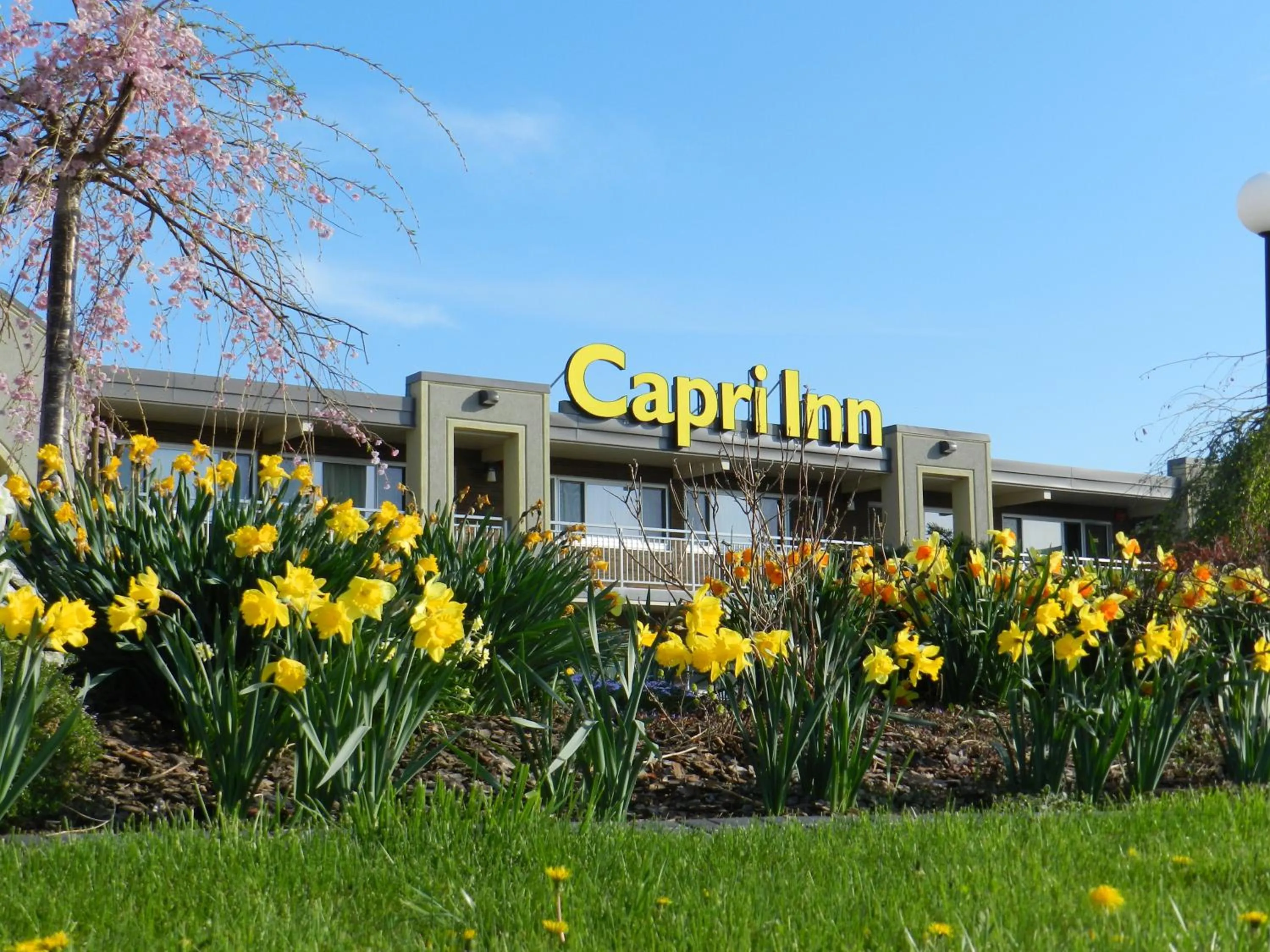 Facade/entrance in Capri Inn