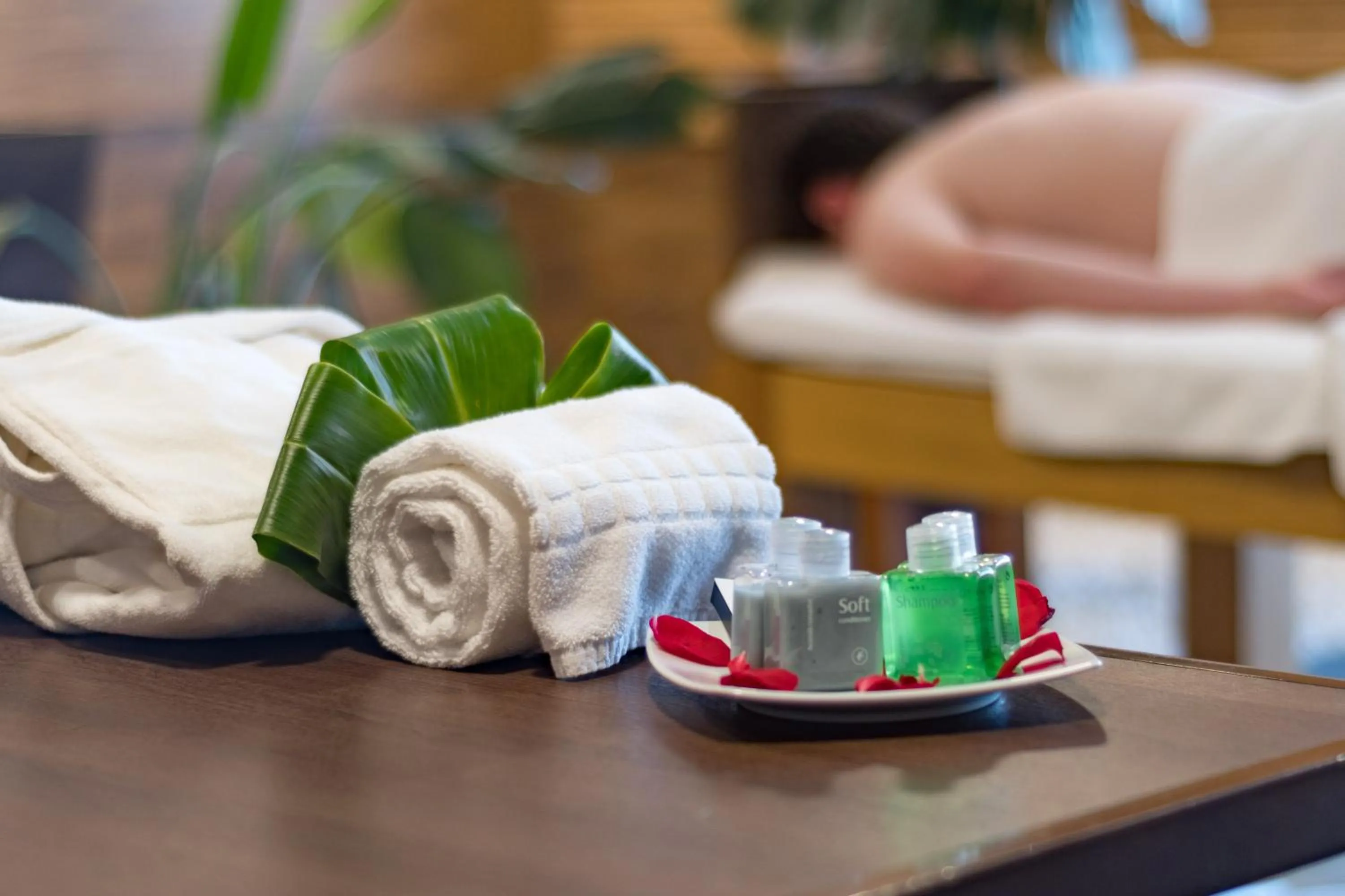 Massage in Hotel Rennova