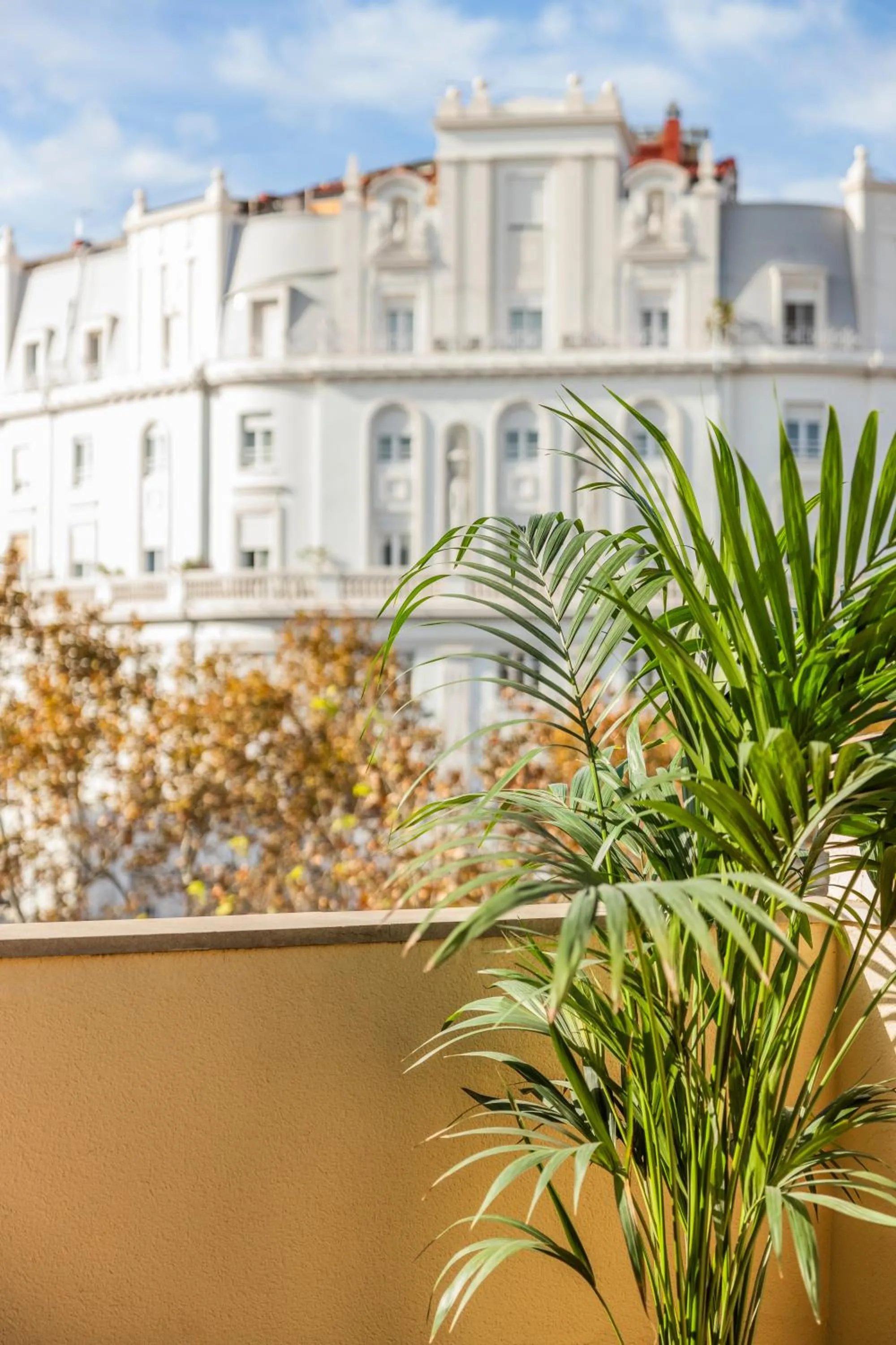 Balcony/Terrace in Parker The Urban Flats