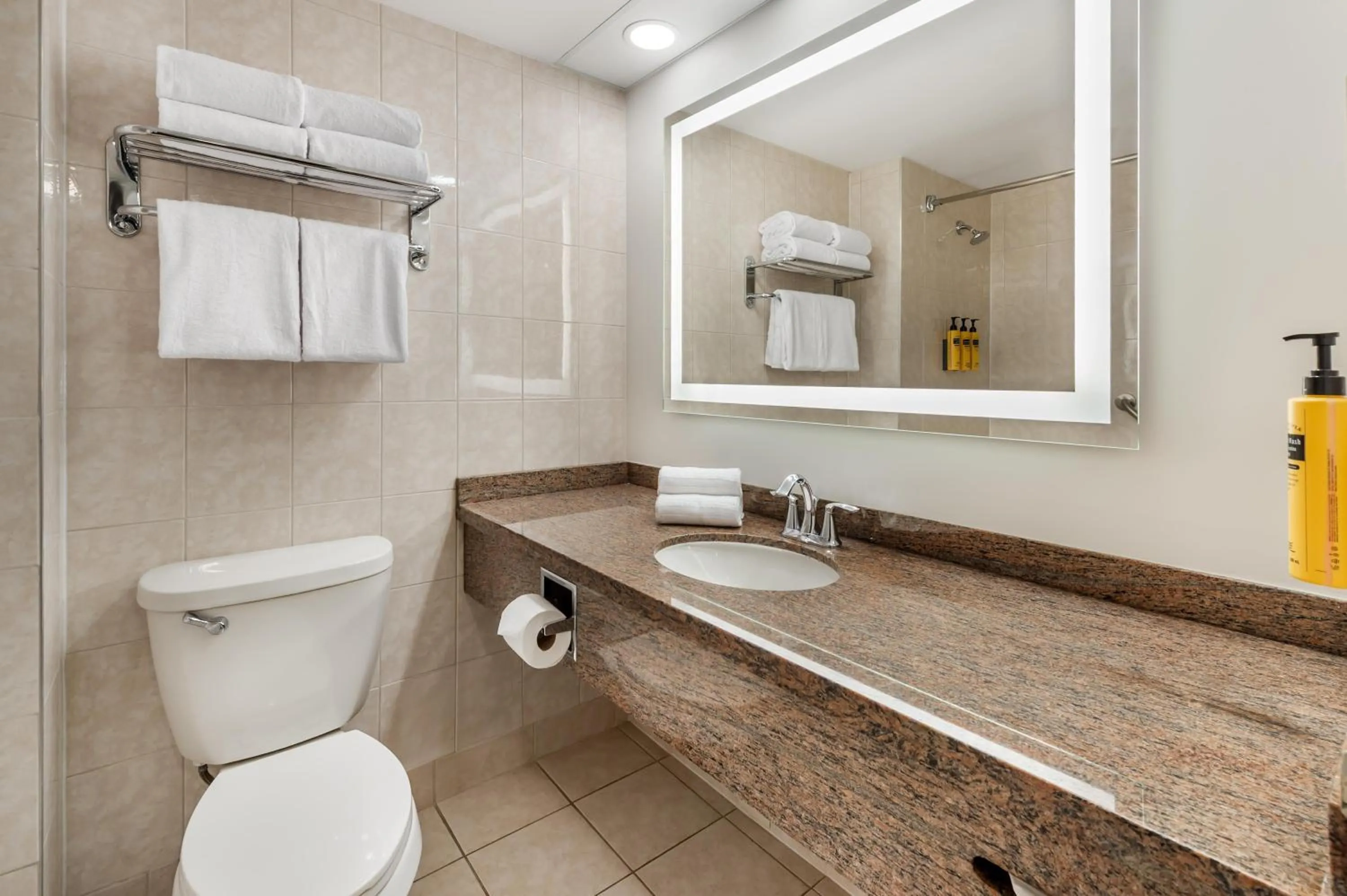 Bathroom in Best Western Plus Ottawa City Centre