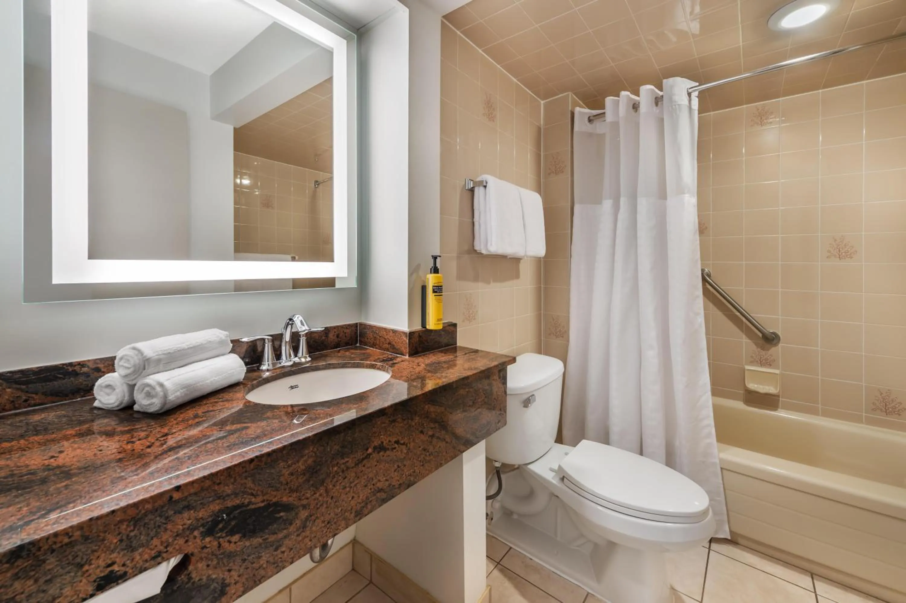 Bathroom in Best Western Plus Ottawa City Centre