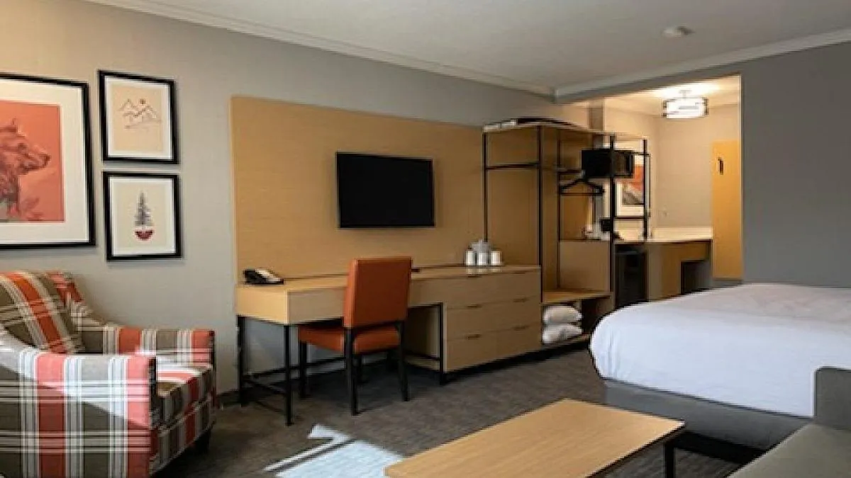 TV and multimedia in Mount Robson Inn