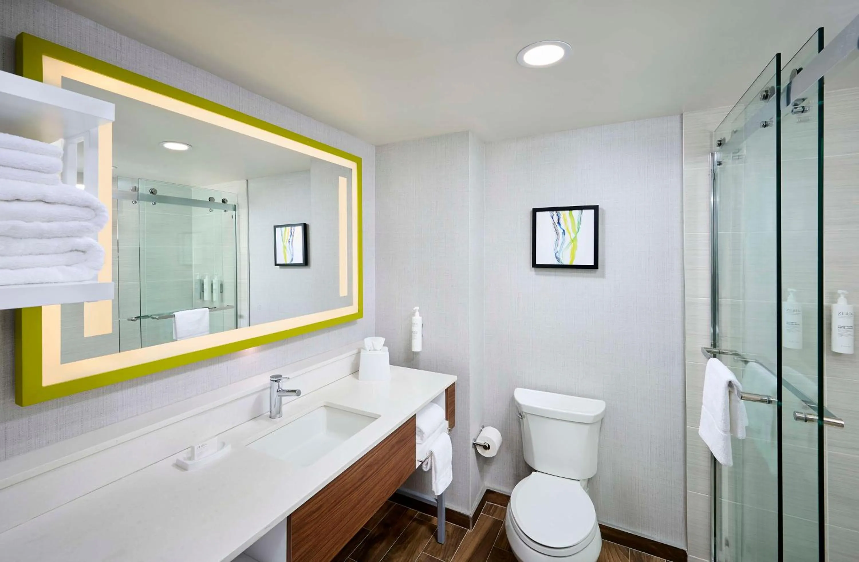 Bathroom in Hampton Inn & Suites by Hilton Windsor