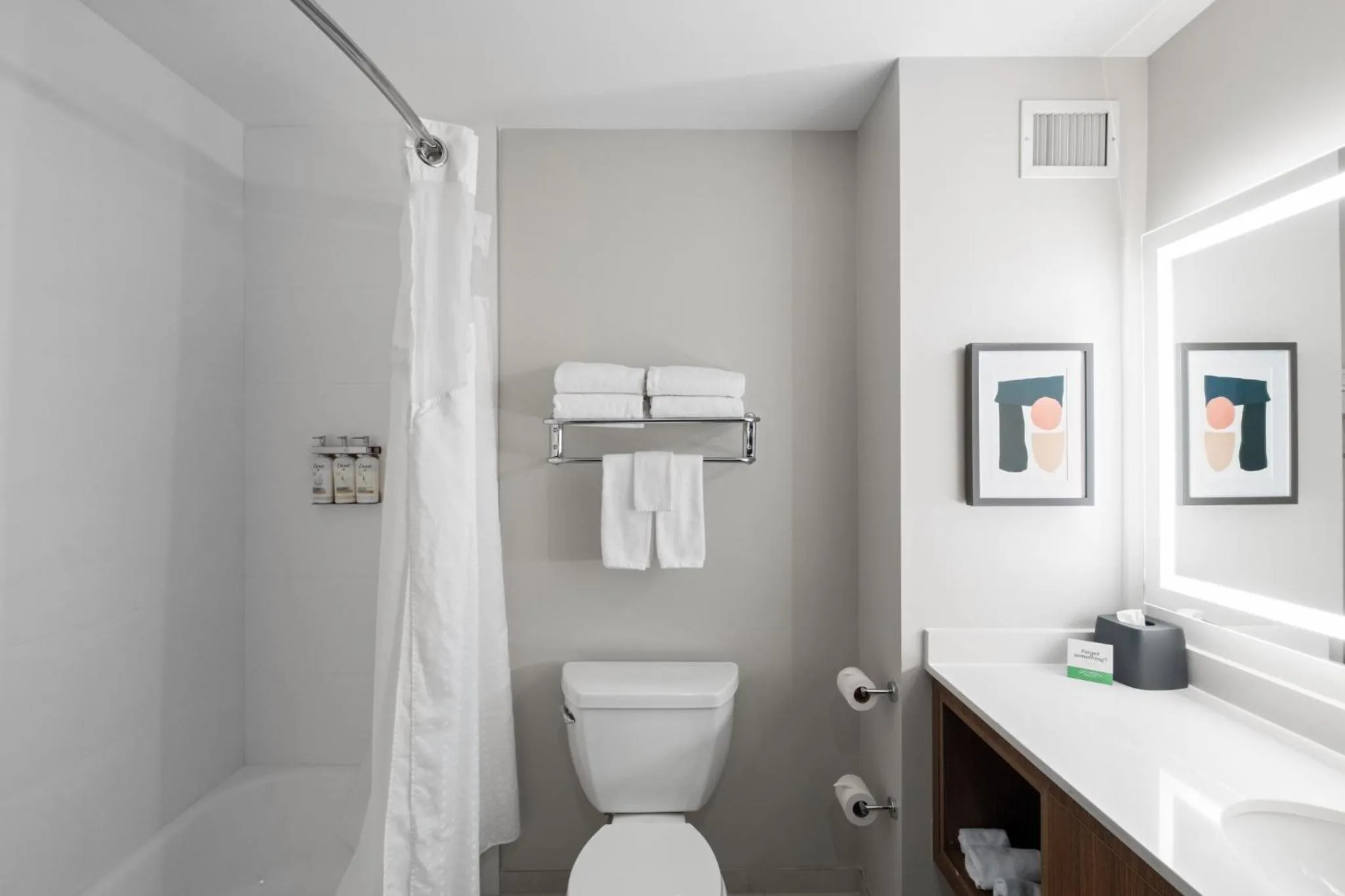 Bathroom in Holiday Inn Hotel & Suites Surrey East - Cloverdale by IHG