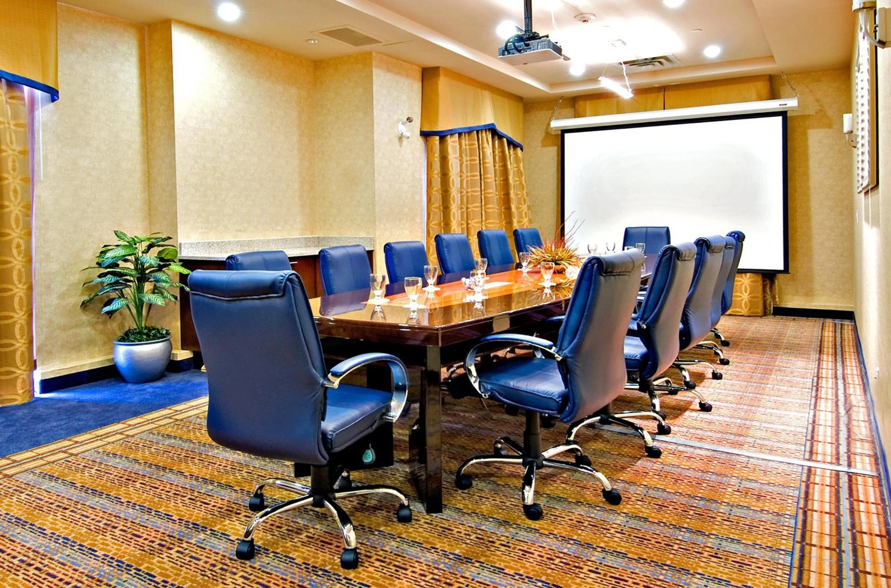 Meeting/conference room in Holiday Inn Express & Suites Riverport Richmond by IHG
