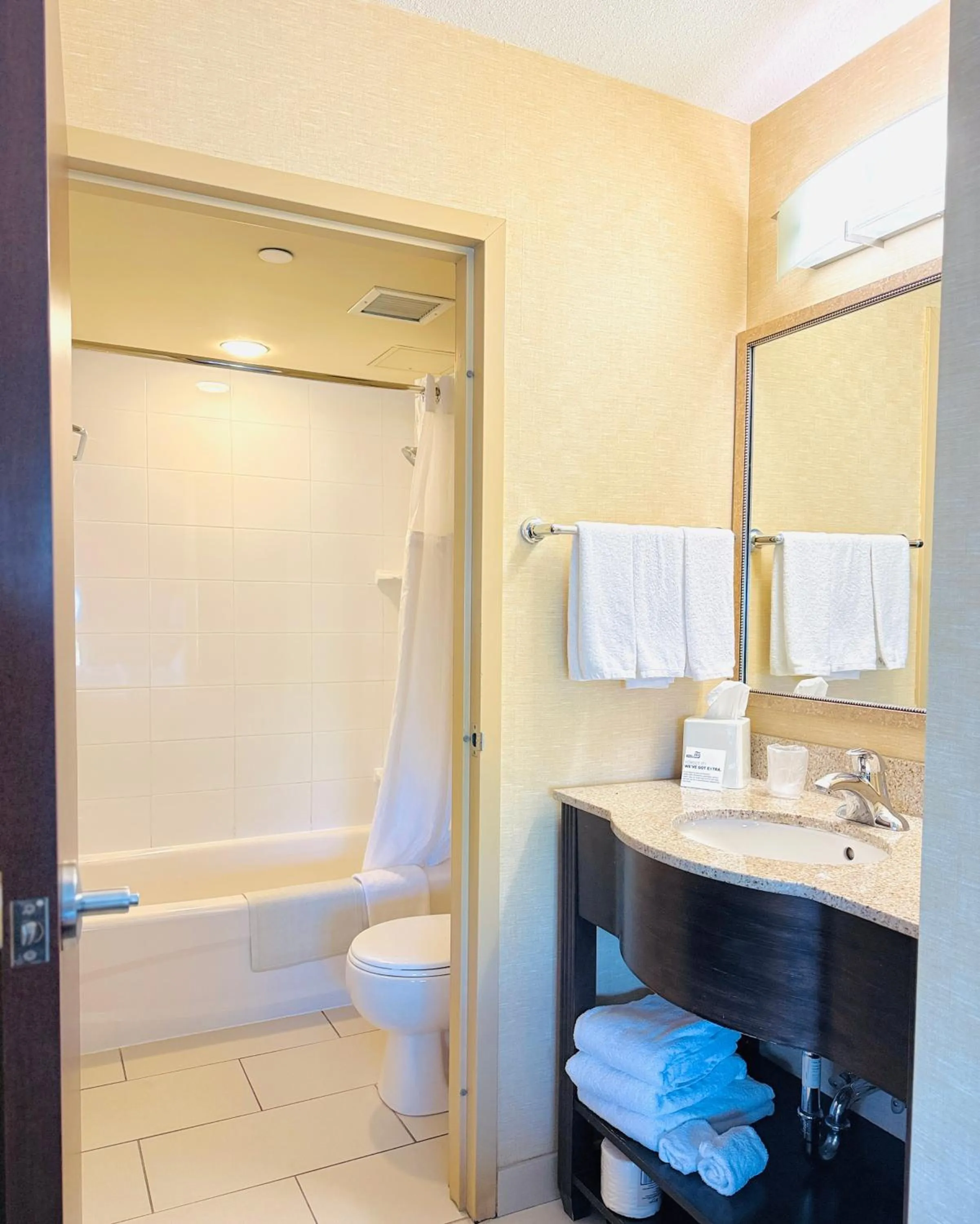 Bathroom in Holiday Inn Express & Suites Riverport Richmond by IHG