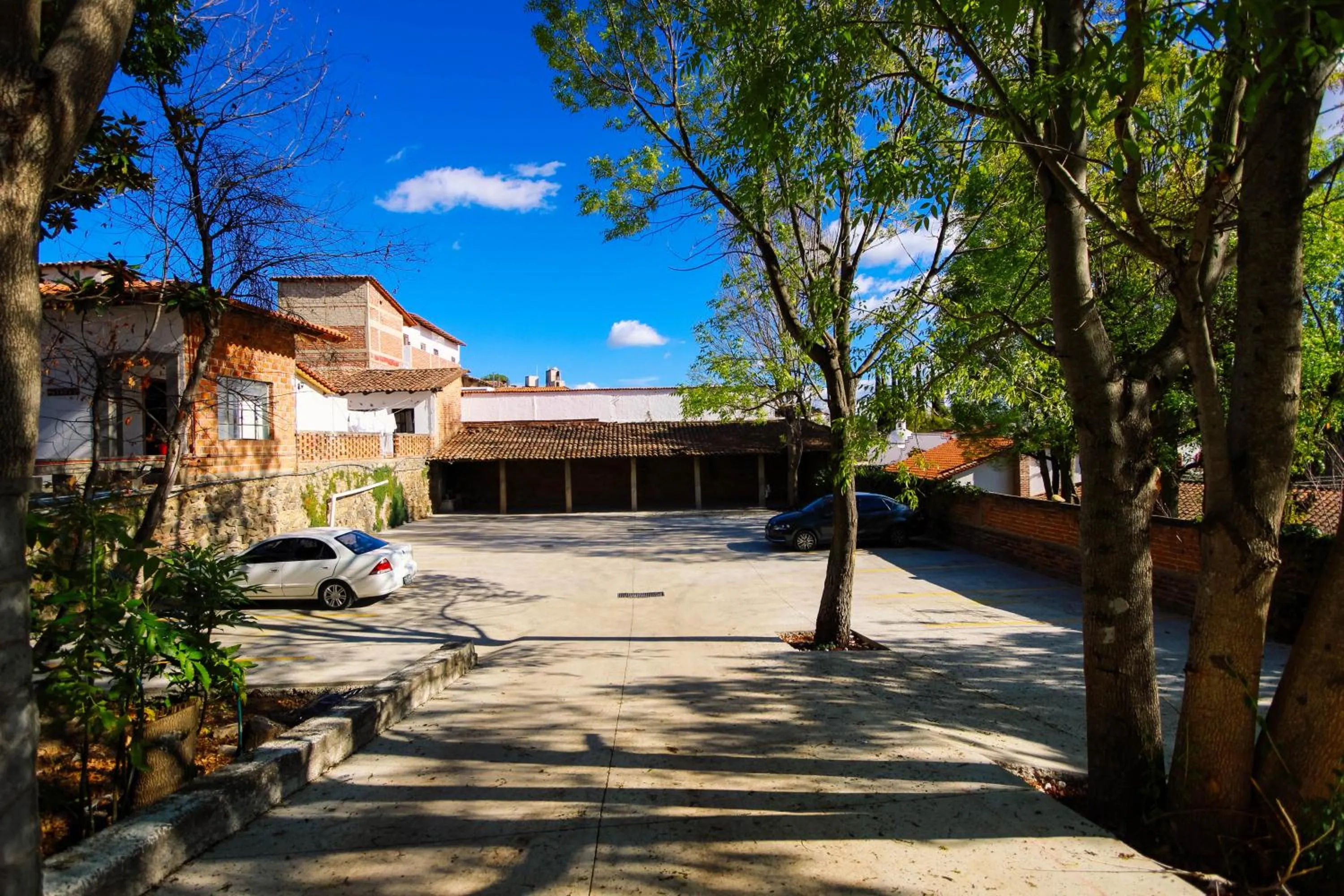 Dinner in Real Carretero