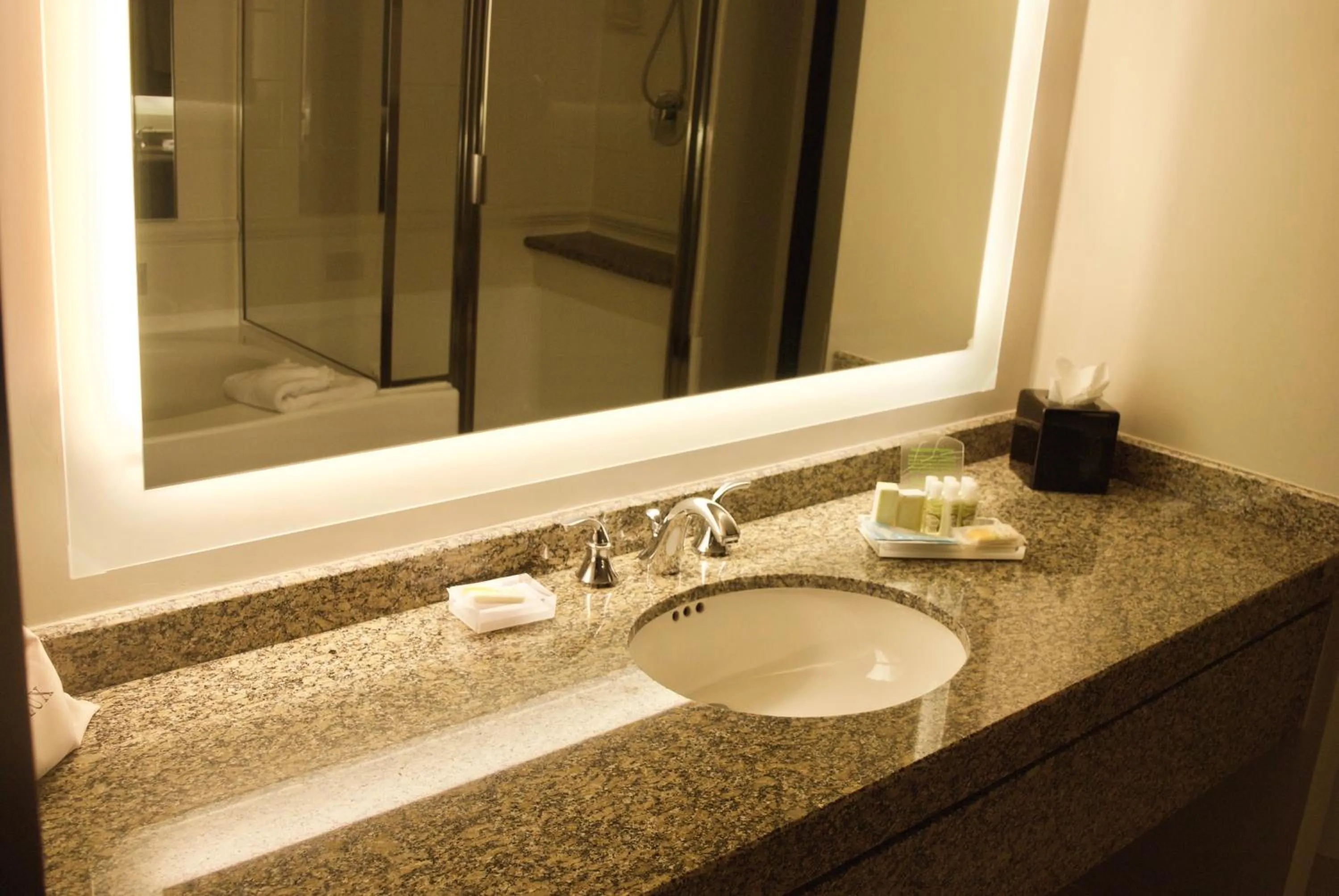 Bathroom in Holiday Inn Vancouver Airport Richmond by IHG