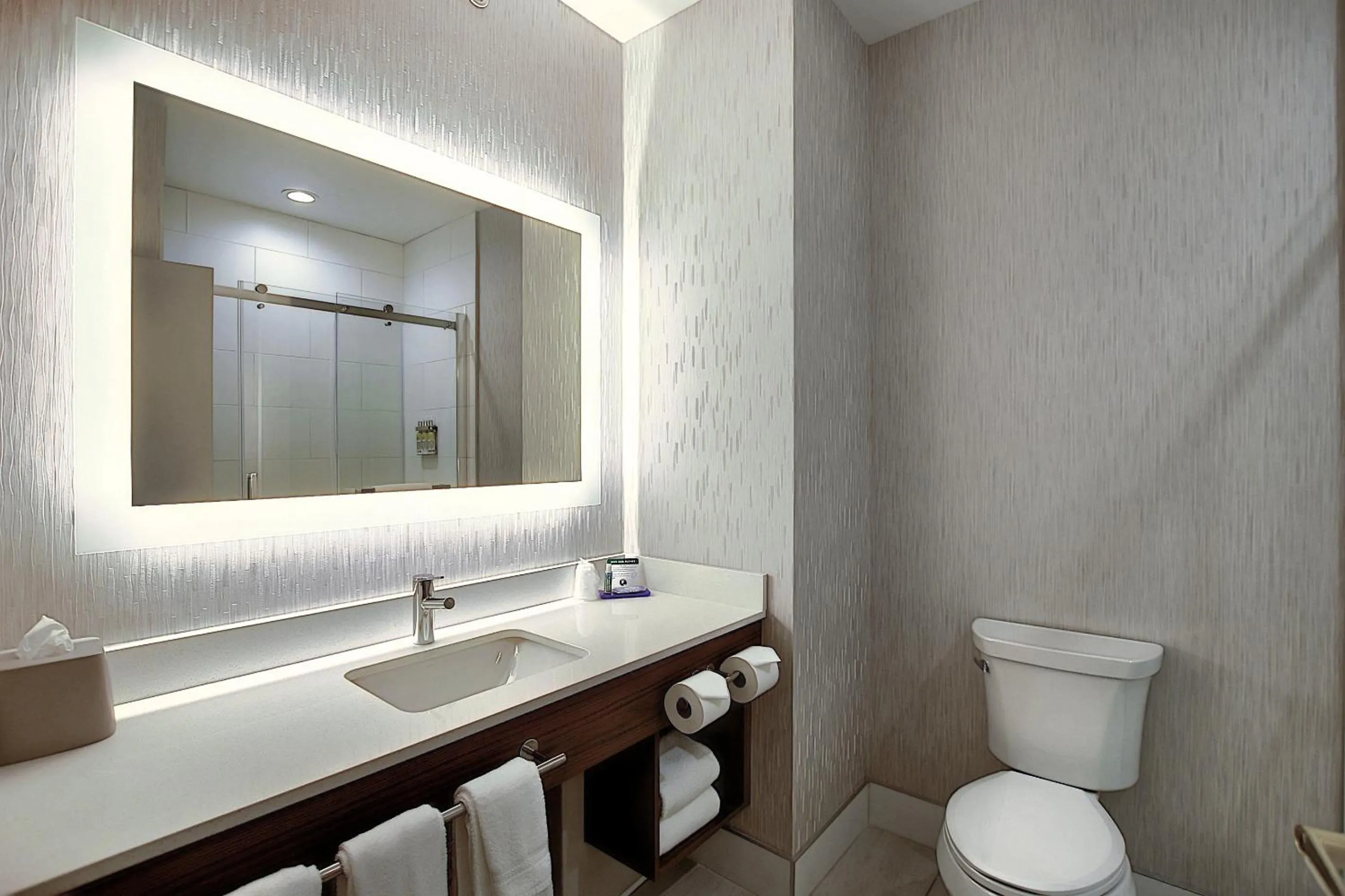 Bathroom in Holiday Inn Express Airport Calgary by IHG