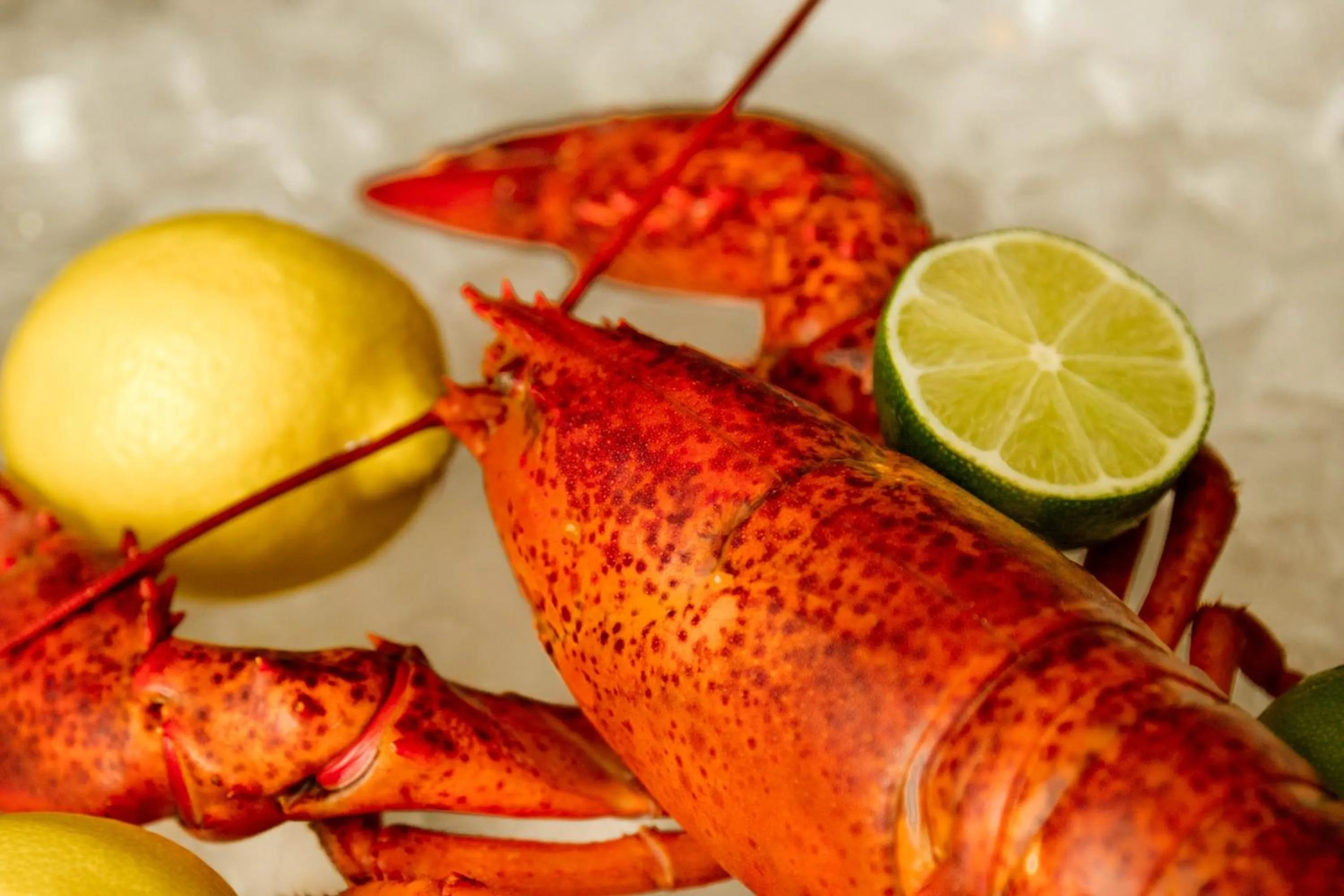 Restaurant/places to eat in InterContinental Montreal by IHG