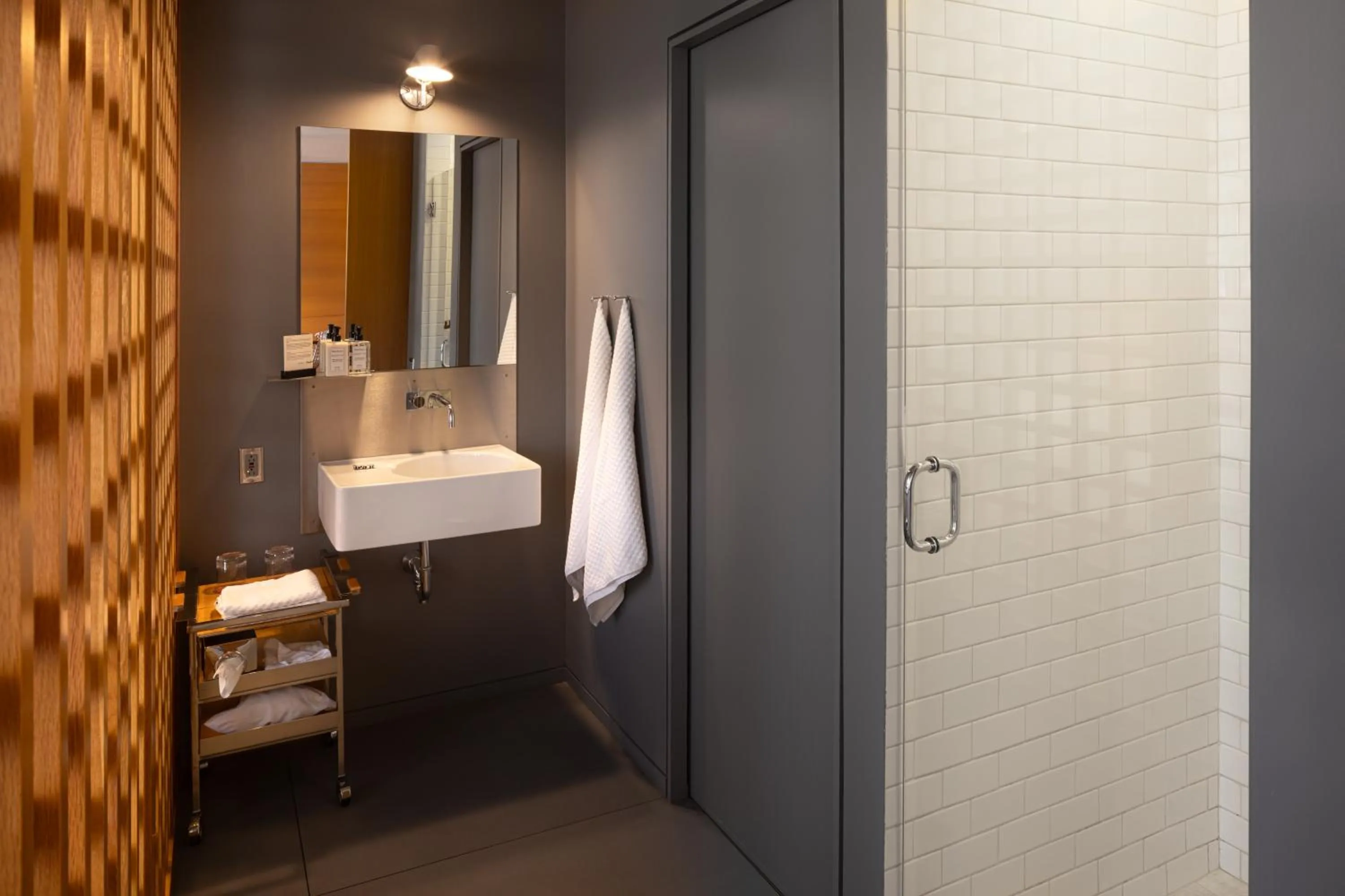 Shower in Hotel Gault