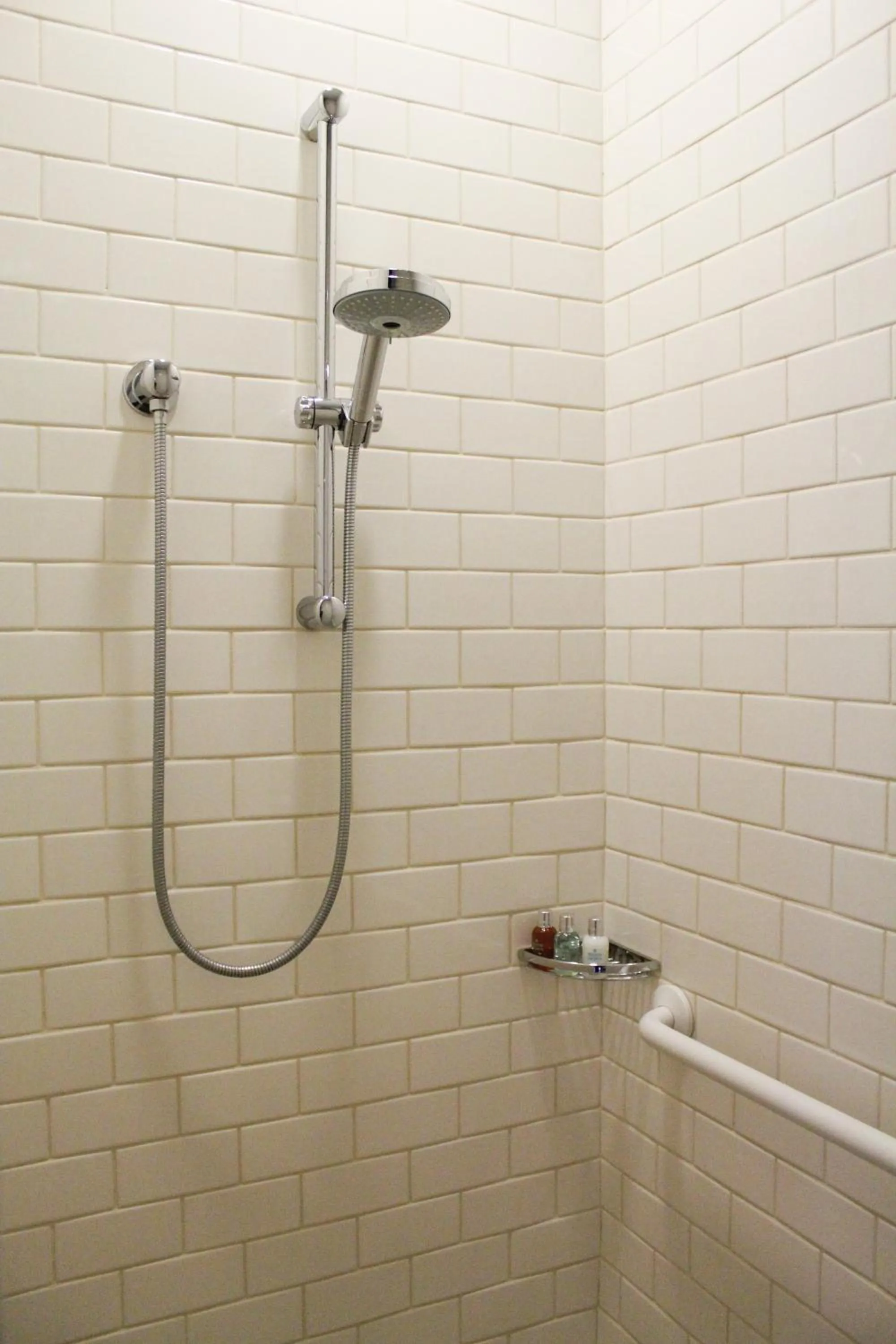 Shower in Hotel Gault