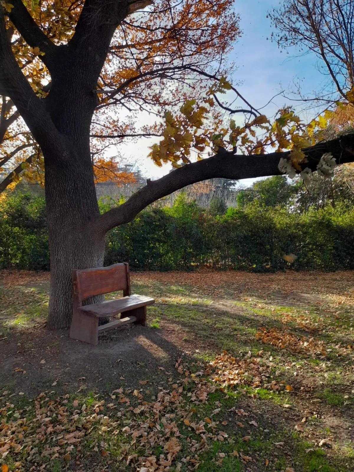 Garden in Los Robles Apart Hotel