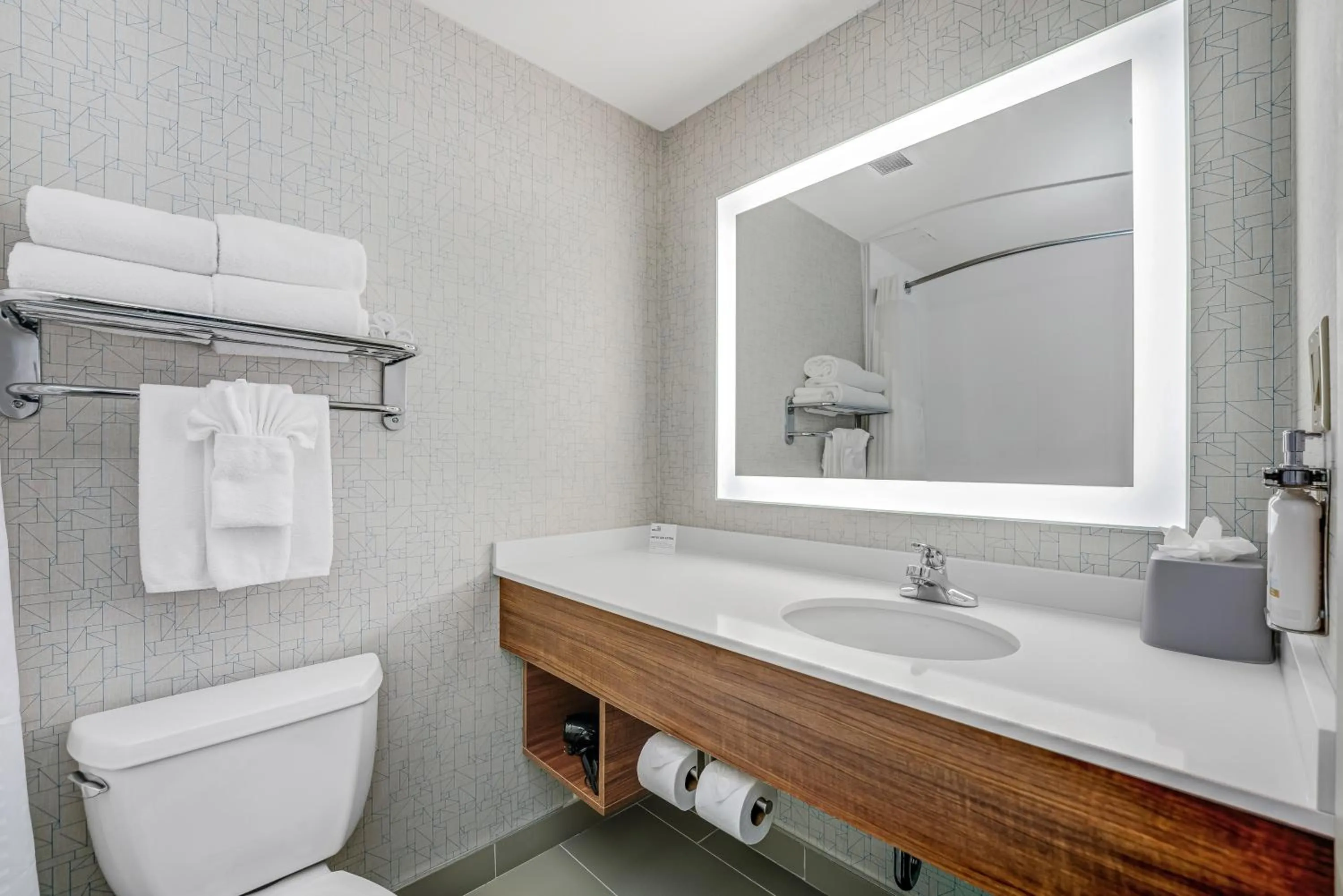 Toilet in Holiday Inn Express Hotel & Suites-Edmonton South by IHG