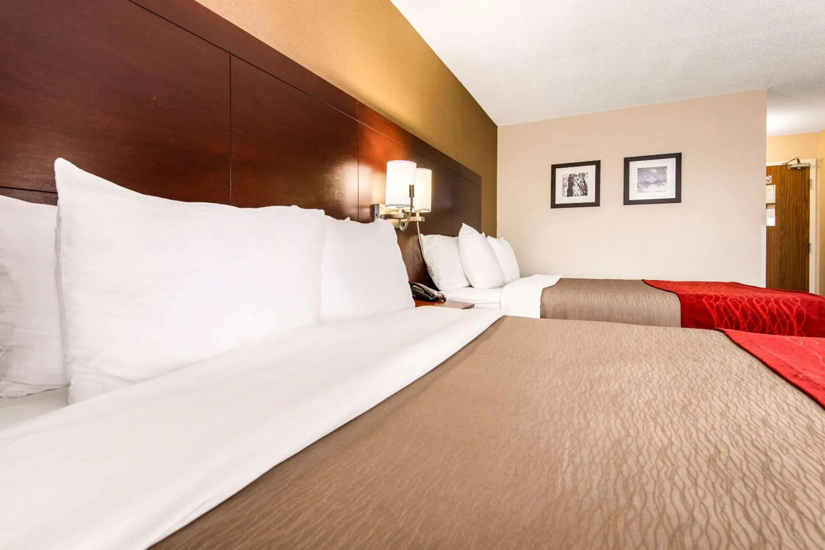 Photo of the whole room, Bed in Comfort Inn Airport West