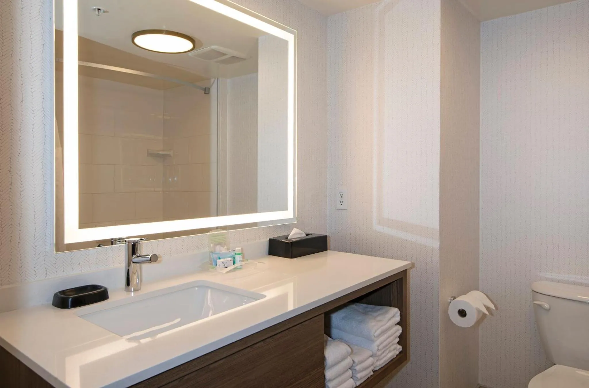 Bathroom in Holiday Inn Hotel and Suites-Kamloops by IHG