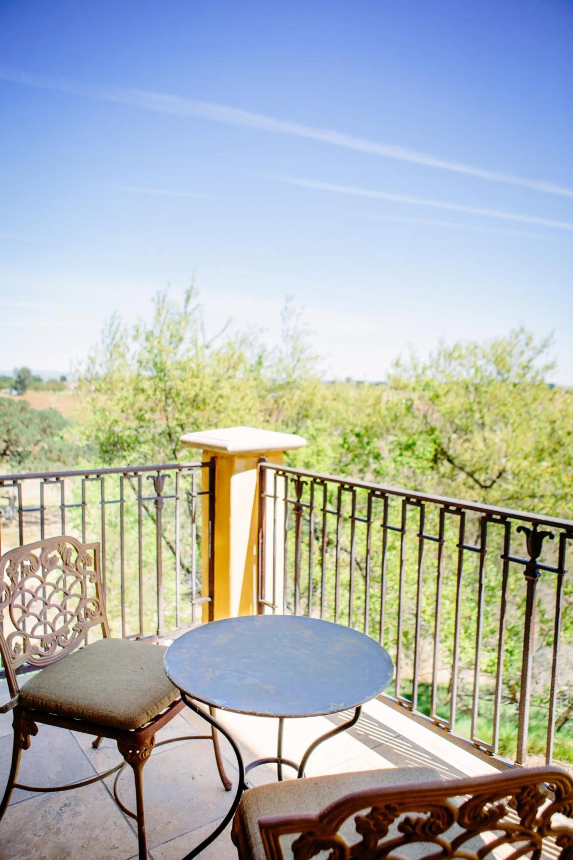 Patio in CaliPaso Winery & Villa