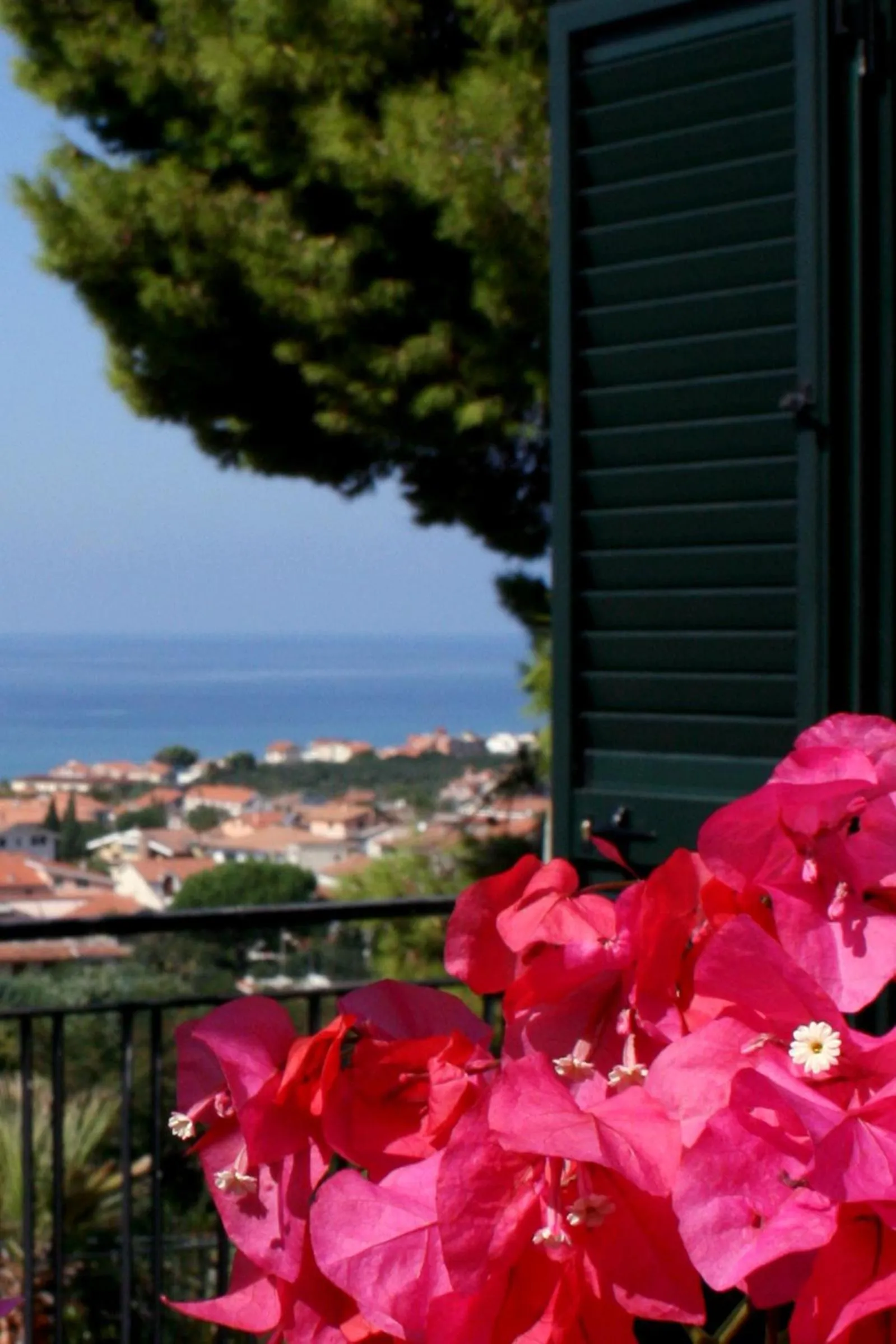 Balcony/Terrace in Residence Domus Cilento