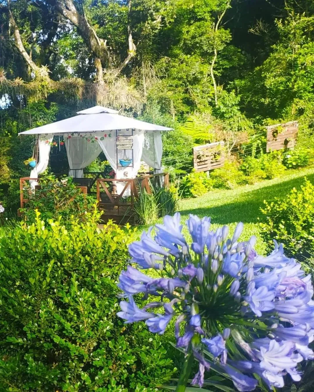 Garden in Chalé Temático em Pipa de Vinho - Parada da Pipa Chalés