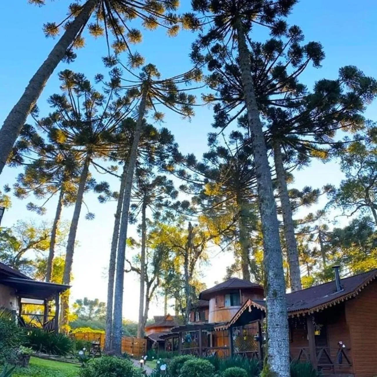 Natural landscape in Chalé Temático em Pipa de Vinho - Parada da Pipa Chalés