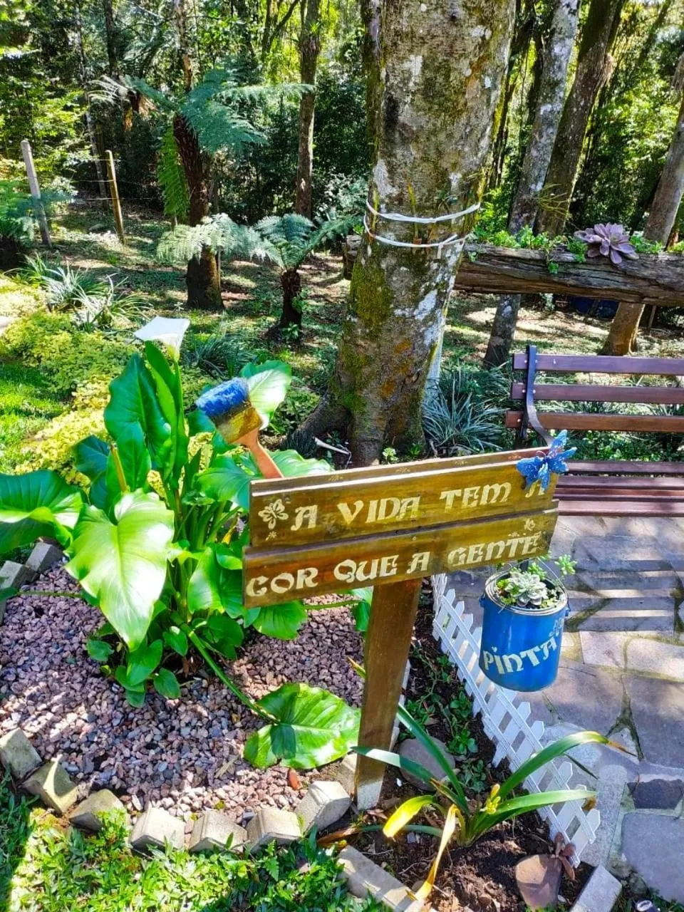 Garden view in Chalé Temático em Pipa de Vinho - Parada da Pipa Chalés