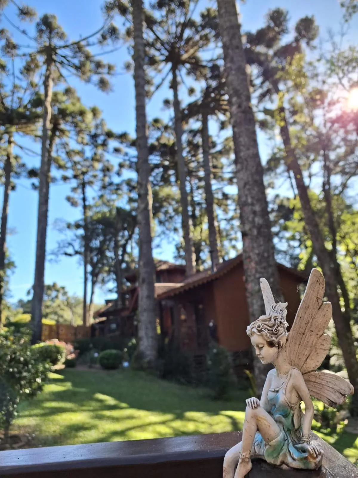 Garden view in Chalé Temático em Pipa de Vinho - Parada da Pipa Chalés