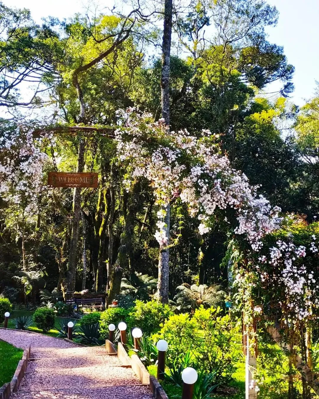 Garden view in Chalé Temático em Pipa de Vinho - Parada da Pipa Chalés