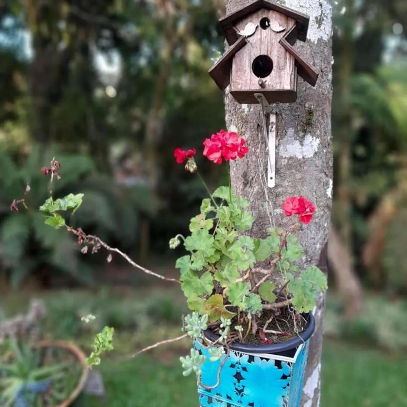 Garden view in Chalé Temático em Pipa de Vinho - Parada da Pipa Chalés