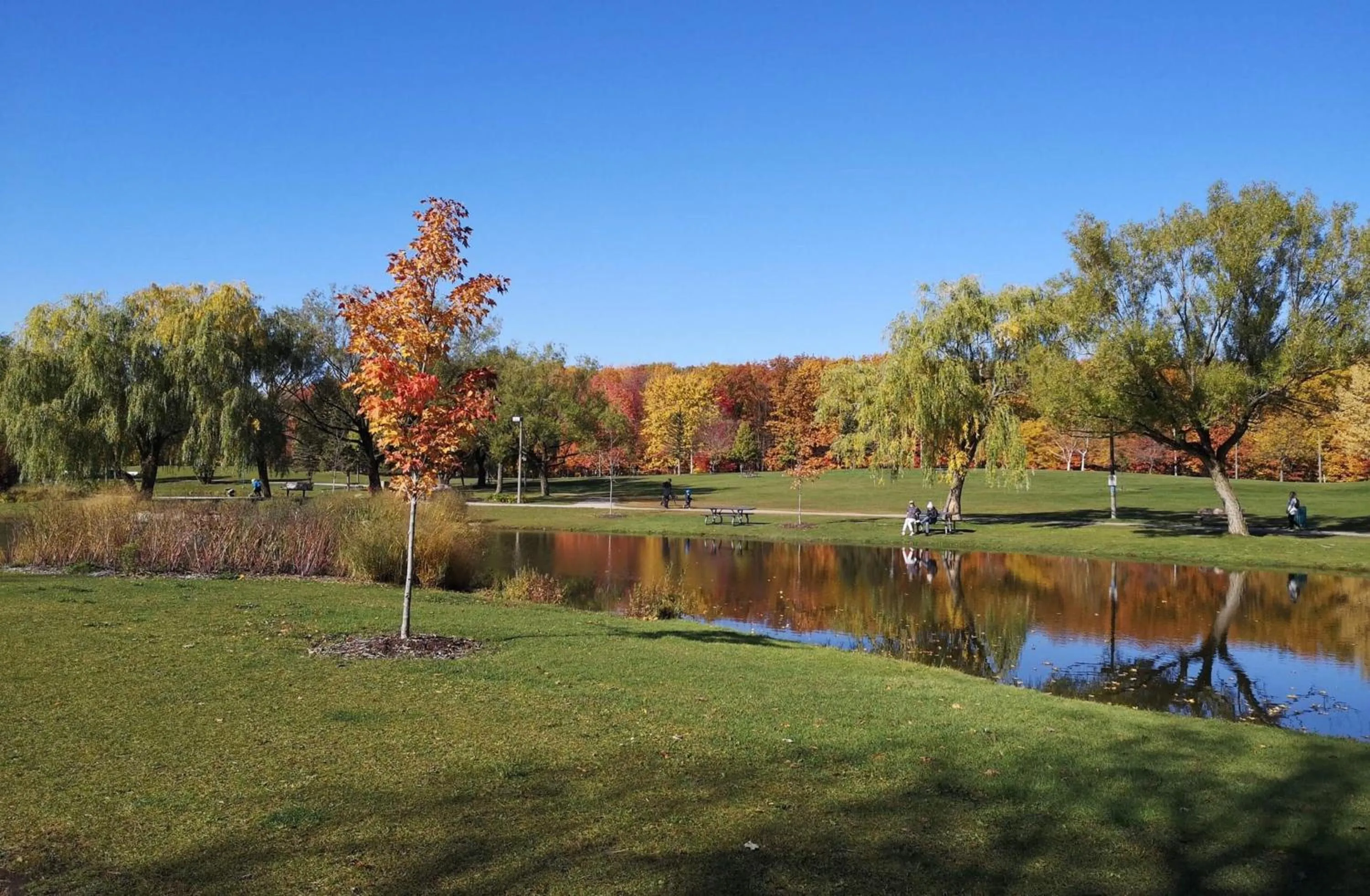 Nearby landmark in Holiday Inn Montreal Longueuil by IHG