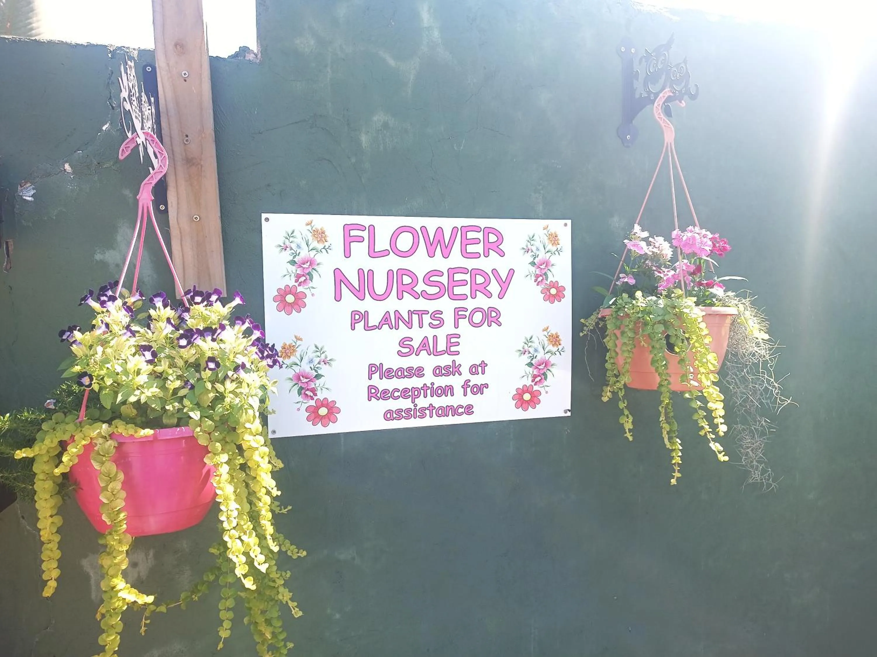 Queensburgh B&B or Self Catering