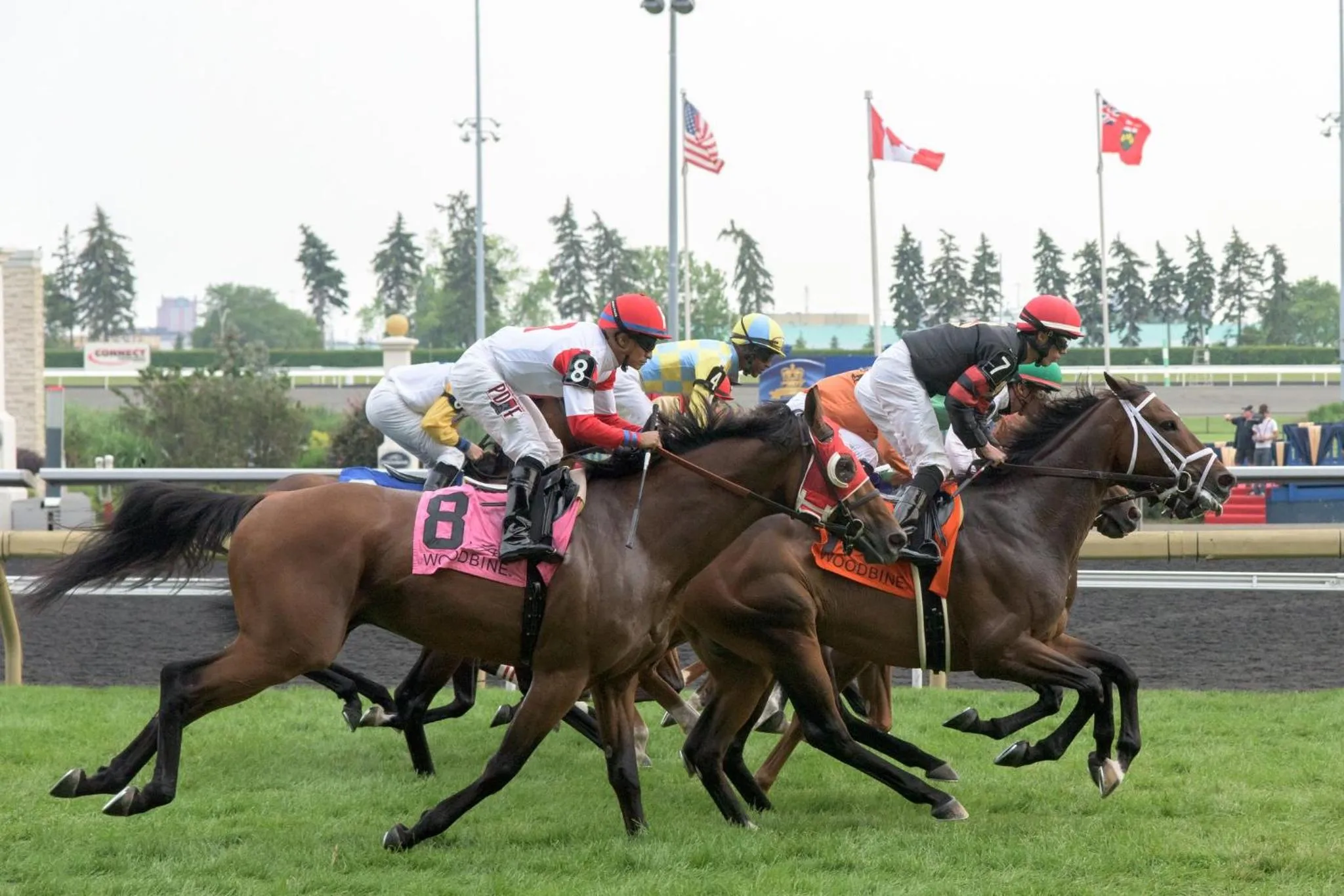 Nearby landmark in Holiday Inn Toronto International Airport by IHG