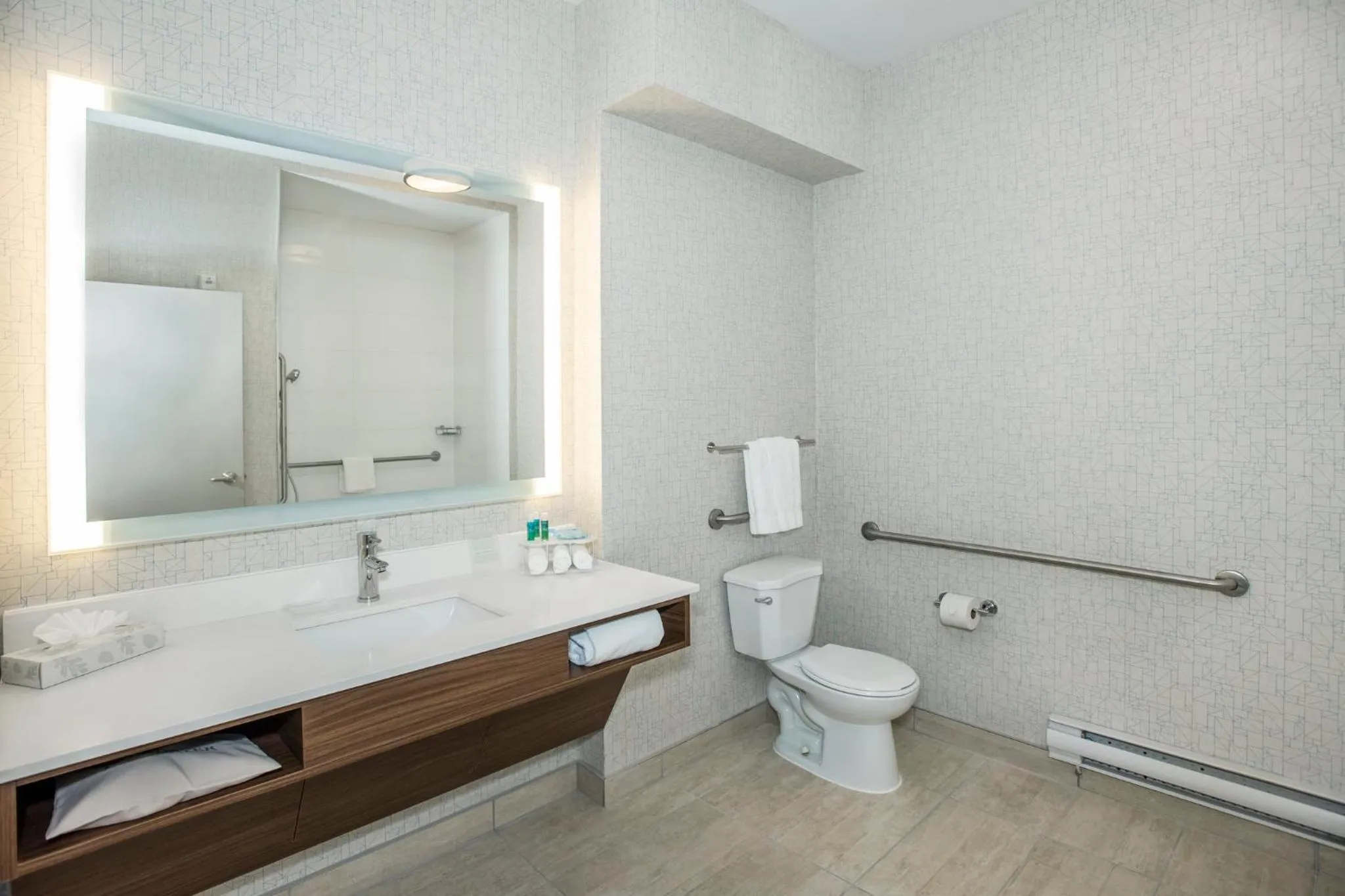 Toilet in Holiday Inn Express & Suites Medicine Hat by IHG
