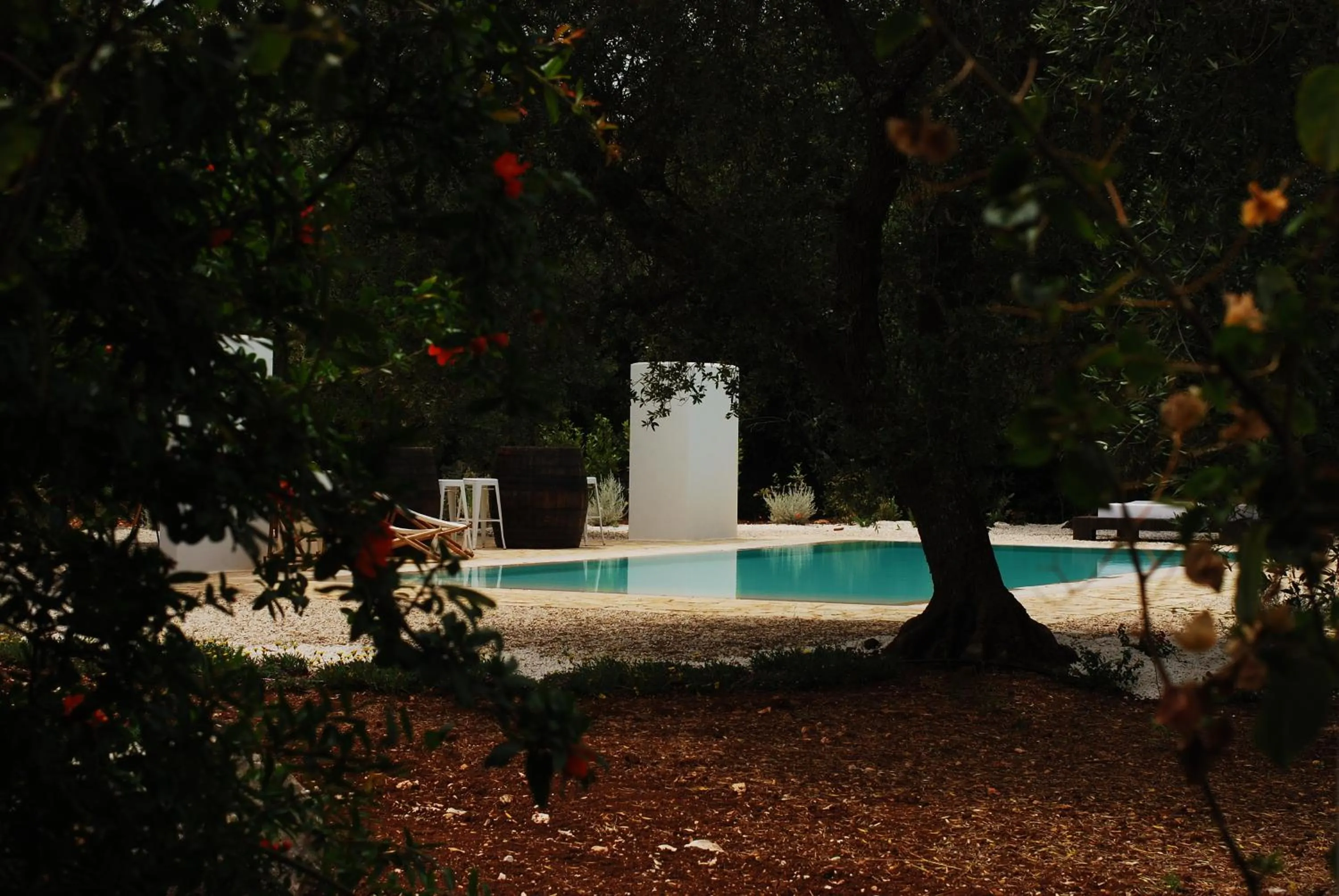 Pool view in Fikus - the Apulian B&B