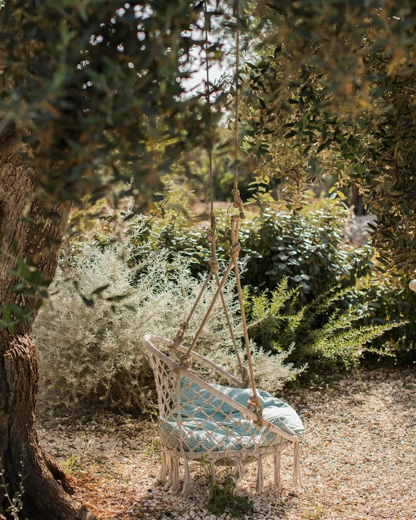 Fikus - the Apulian B&B