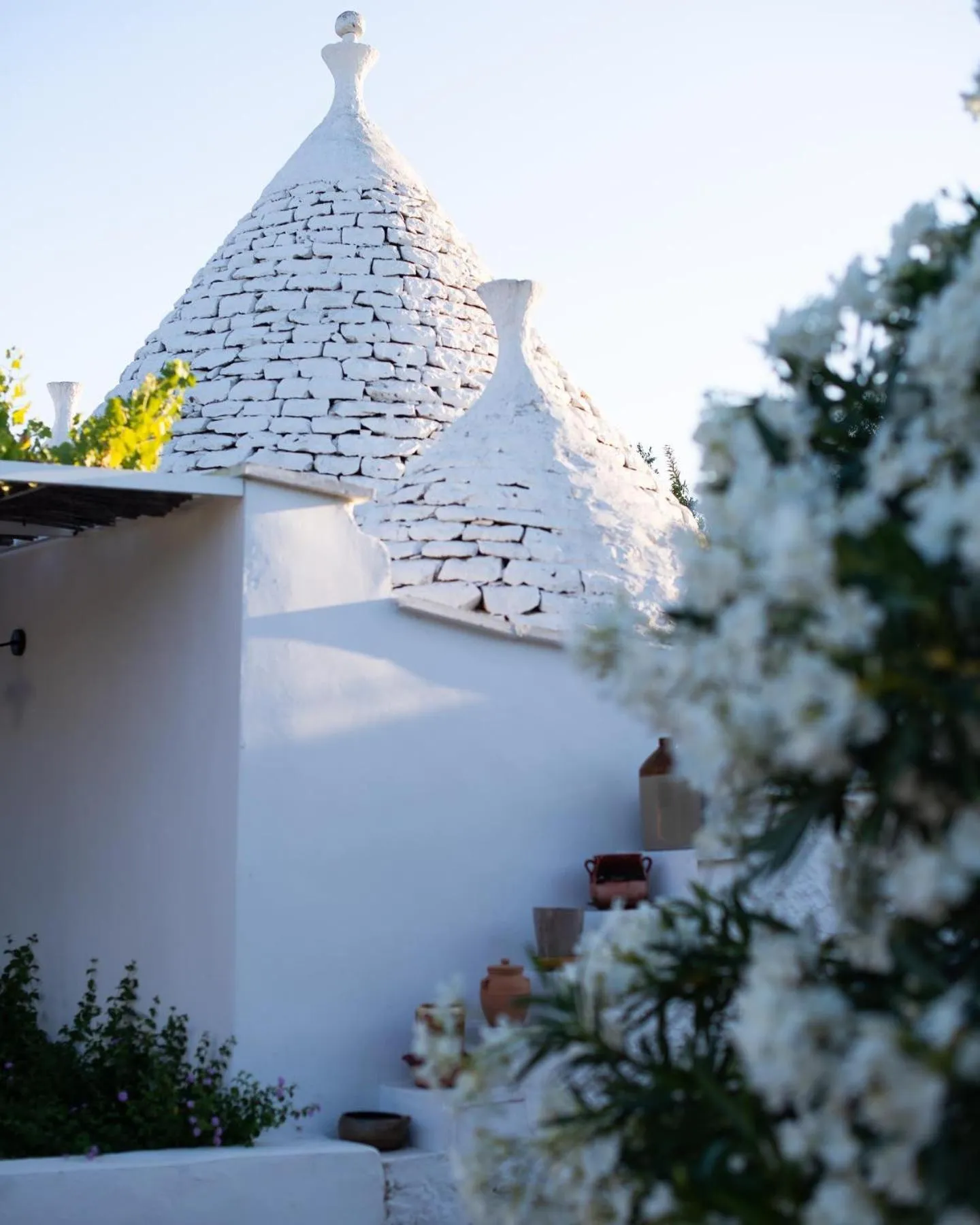 Fikus - the Apulian B&B