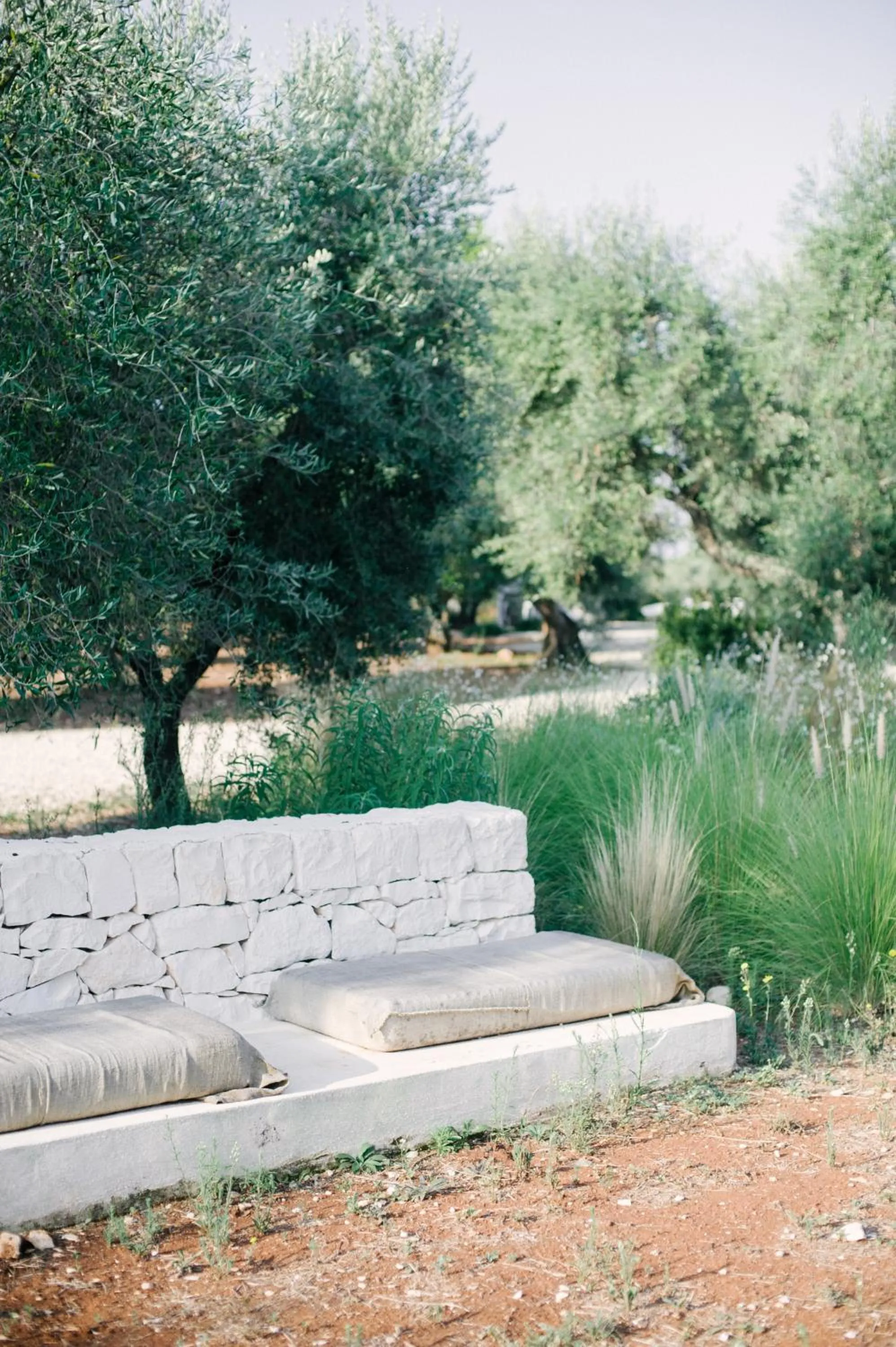 Fikus - the Apulian B&B