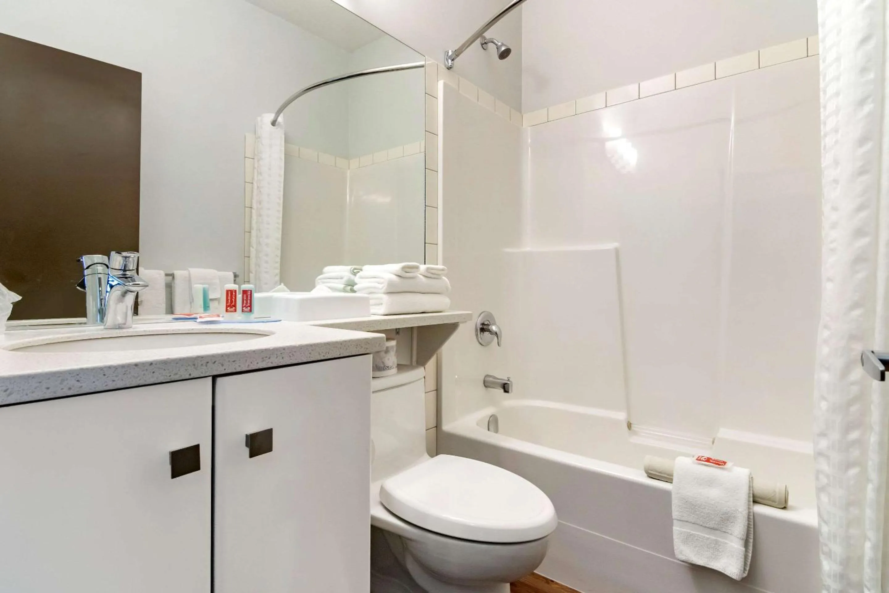 Bathroom in Econo Lodge Inn & Suites