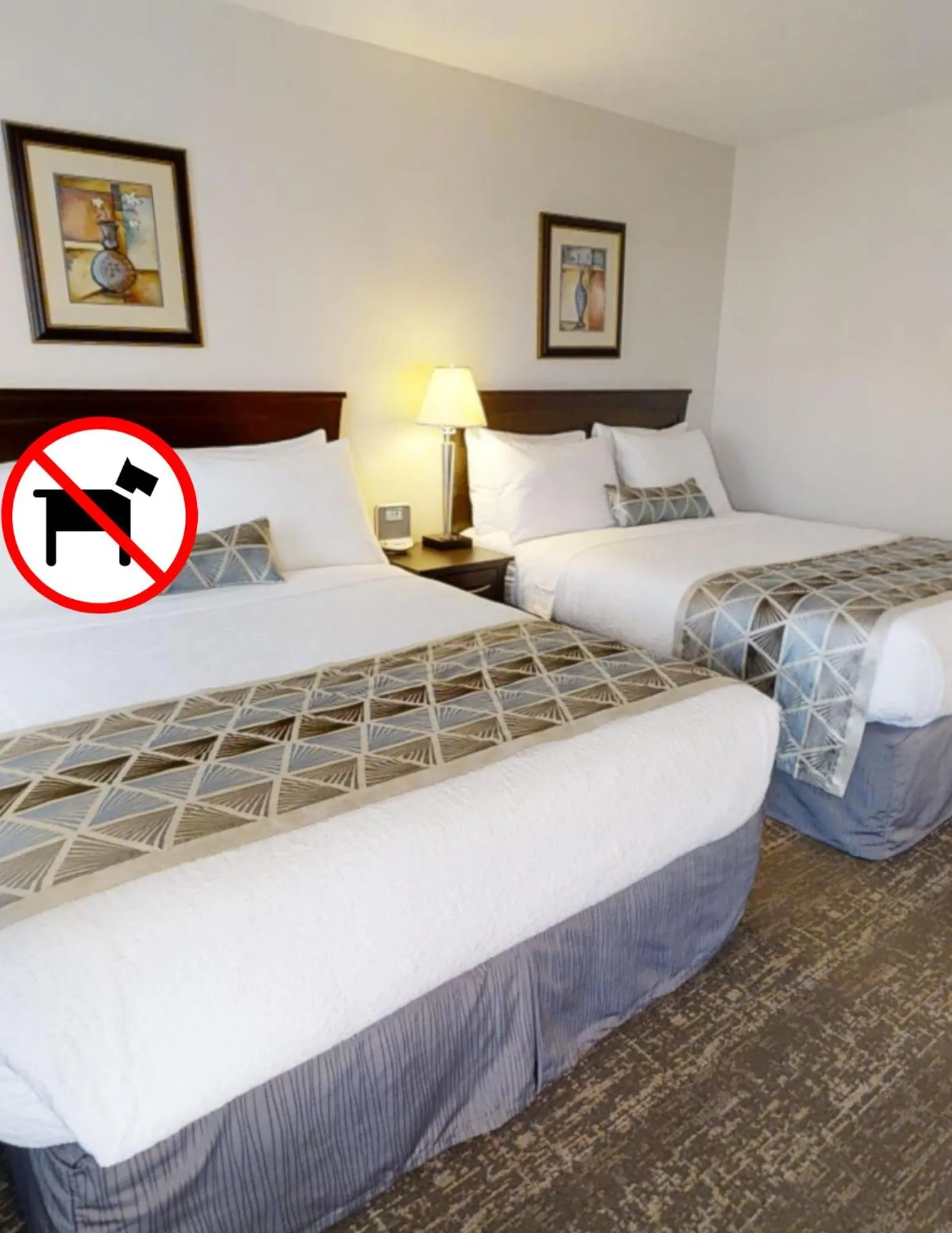 Standard 2 Queen Room (Non-Pet Friendly) in Dilworth Inn Kelowna