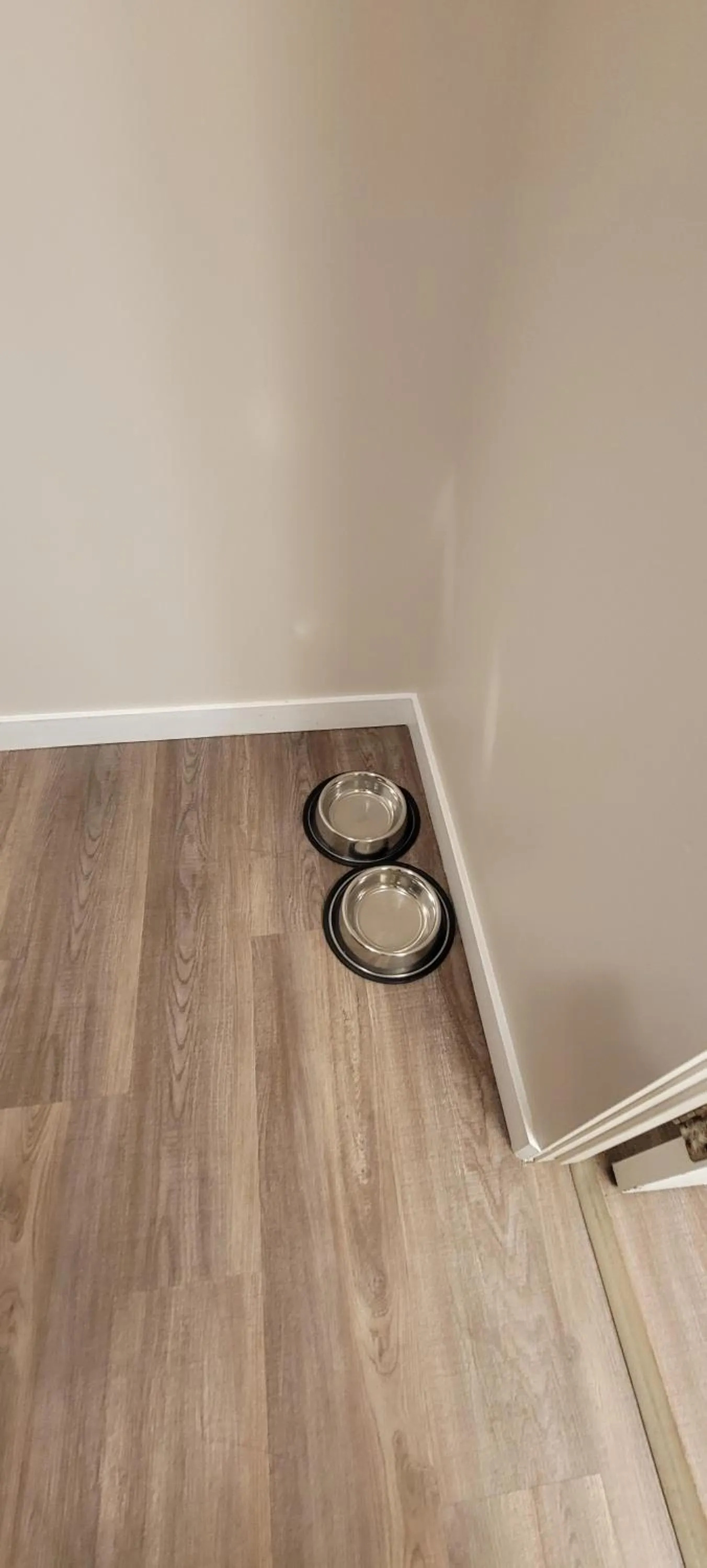 pet friendly in Recreation Inn and Suites Kelowna