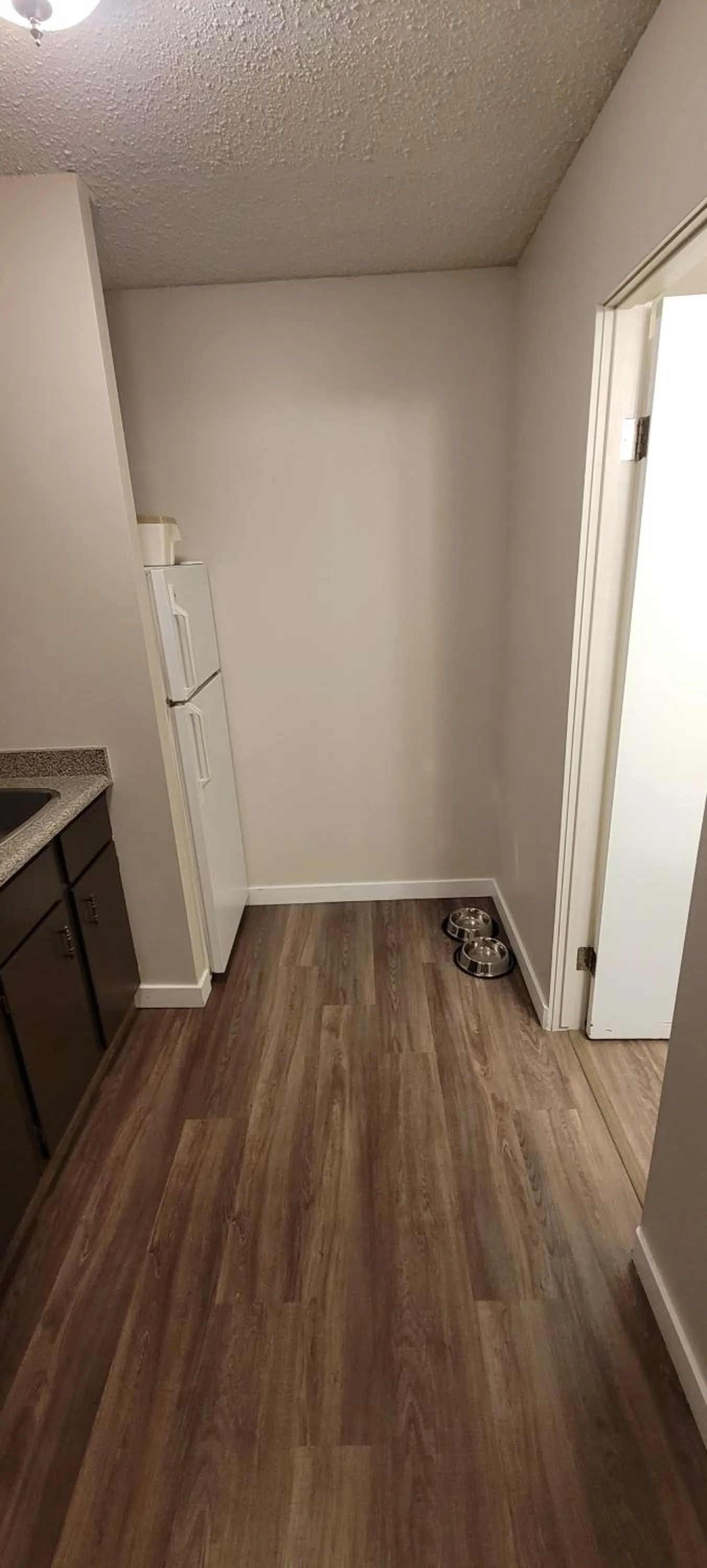 Kitchen or kitchenette in Recreation Inn and Suites Kelowna