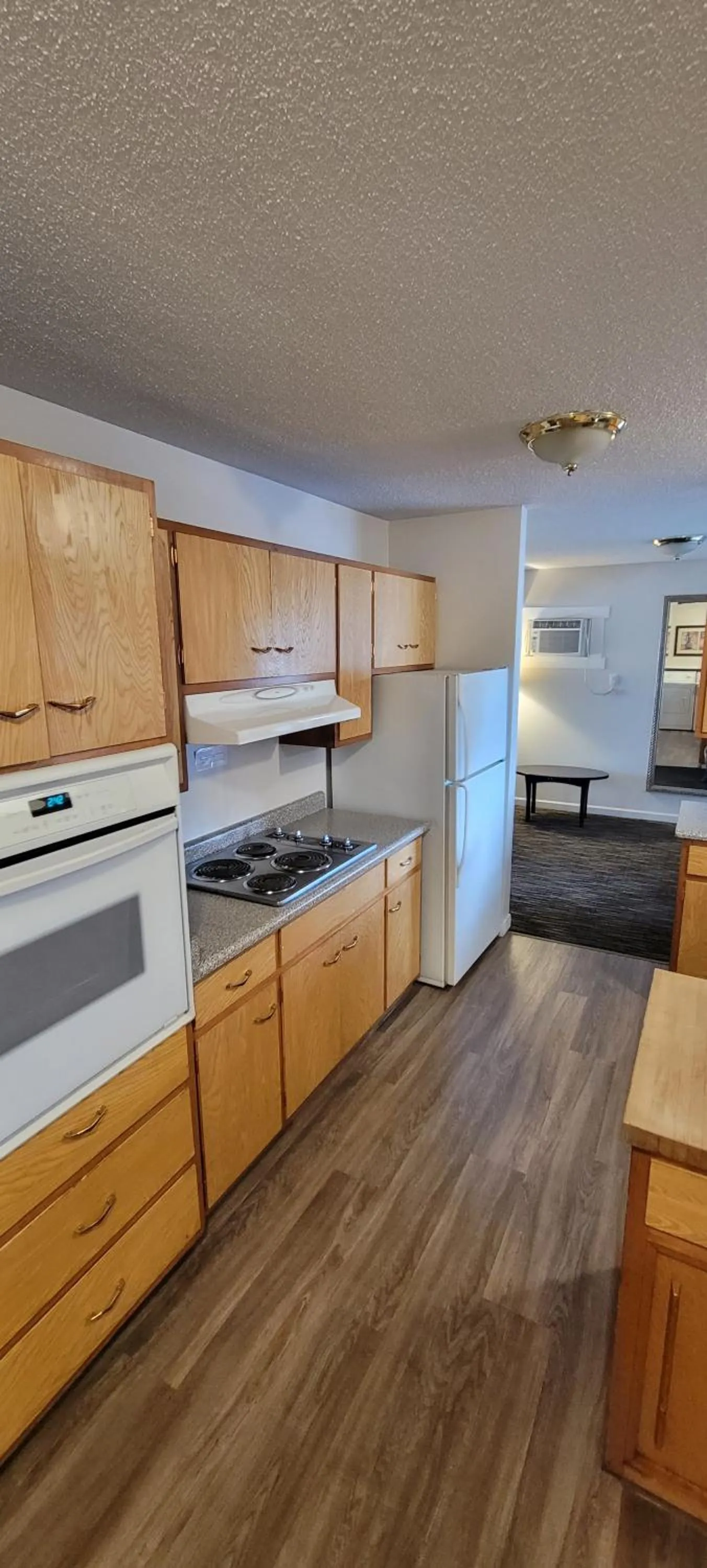 Kitchen or kitchenette in Recreation Inn and Suites Kelowna