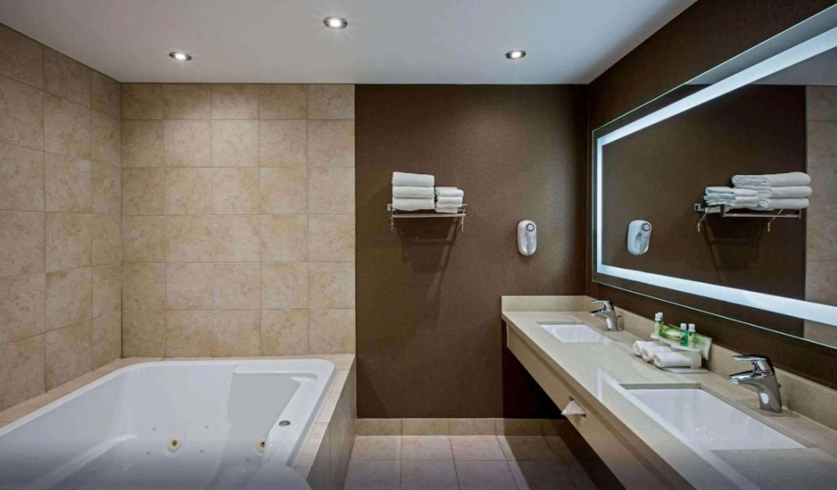 Bathroom in Quality Inn & Suites Regina Downtown